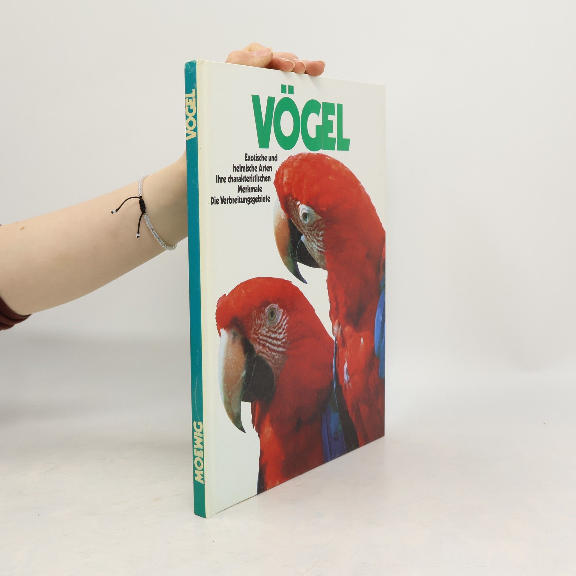 Diethard H. Klein Vögel