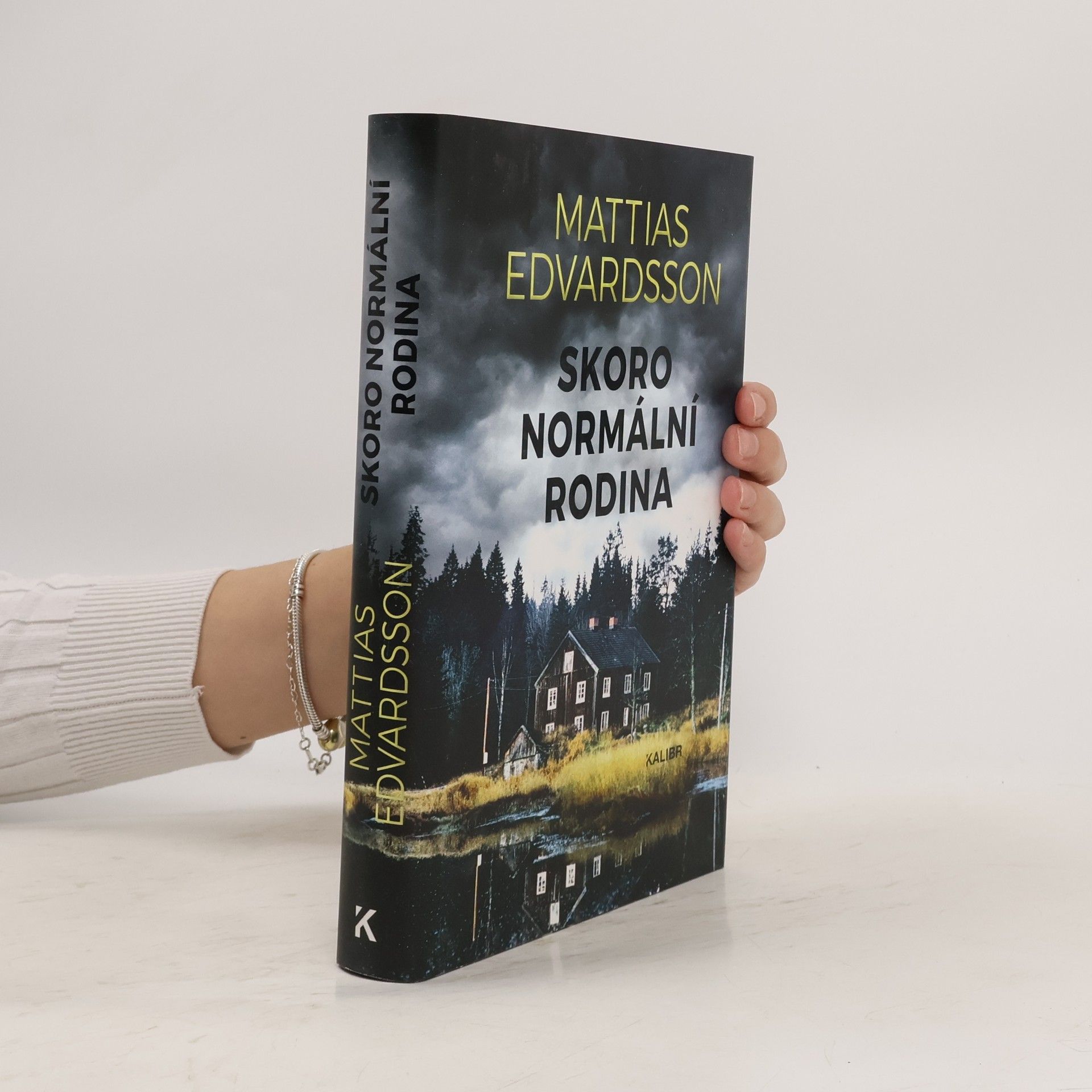 Mattias Edvardsson Skoro normální rodina