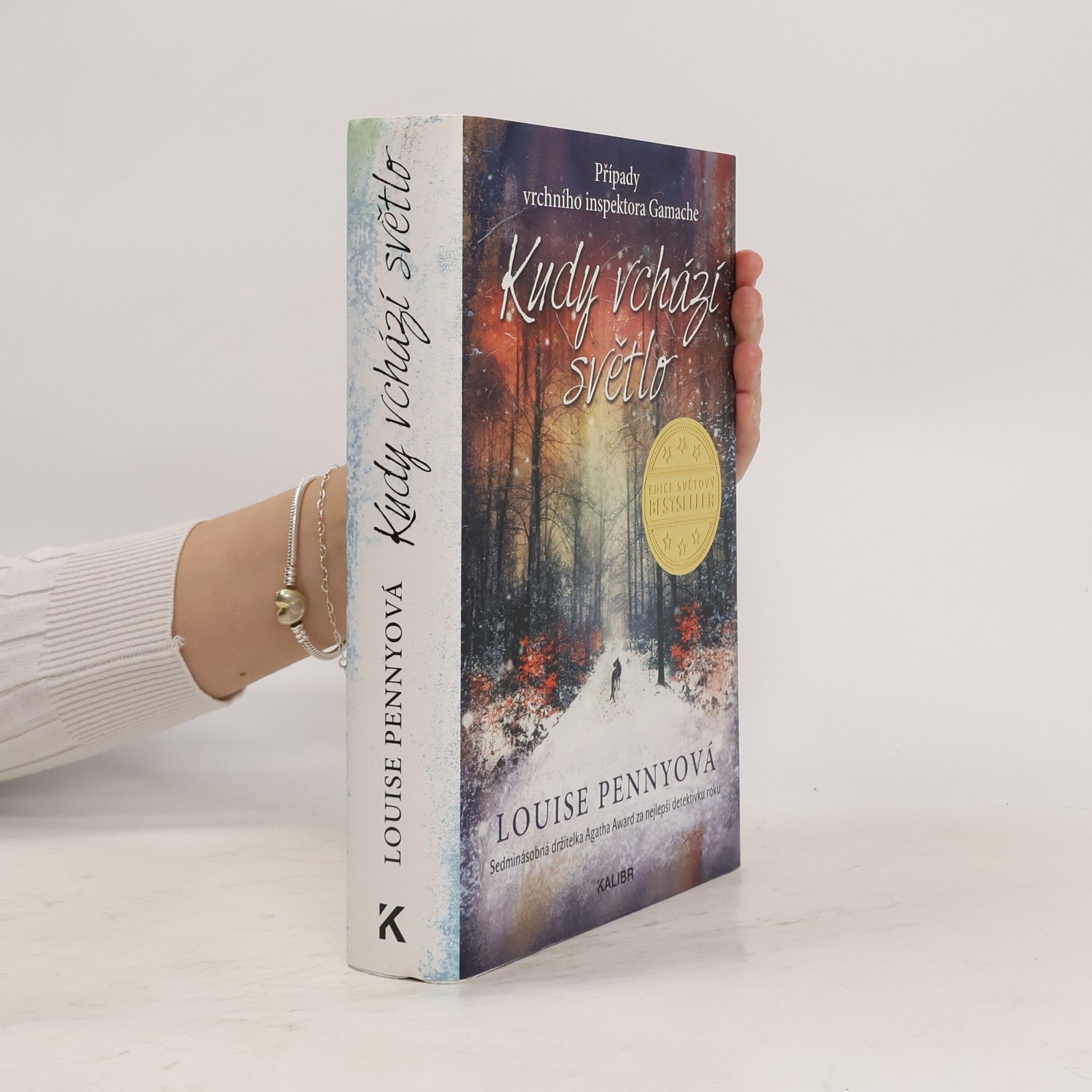 Louise Penny Kudy vchází světlo