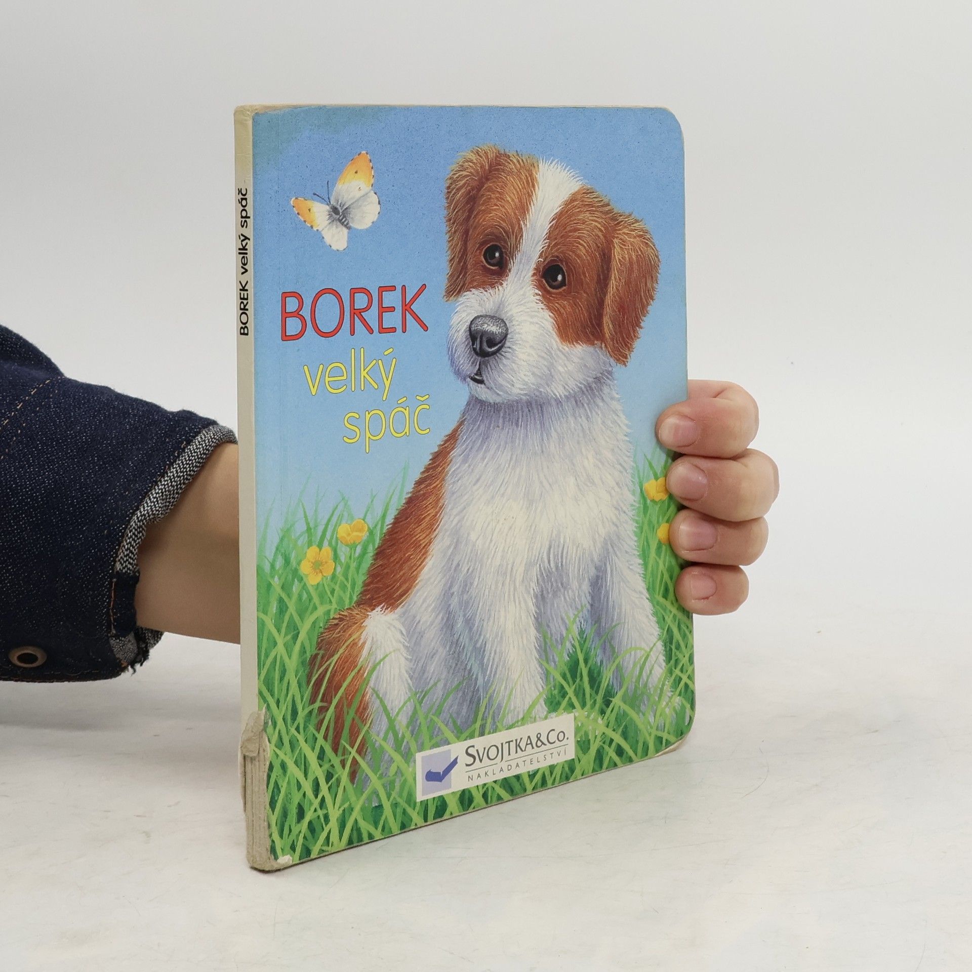 Autorenkollektiv Borek, velký spáč