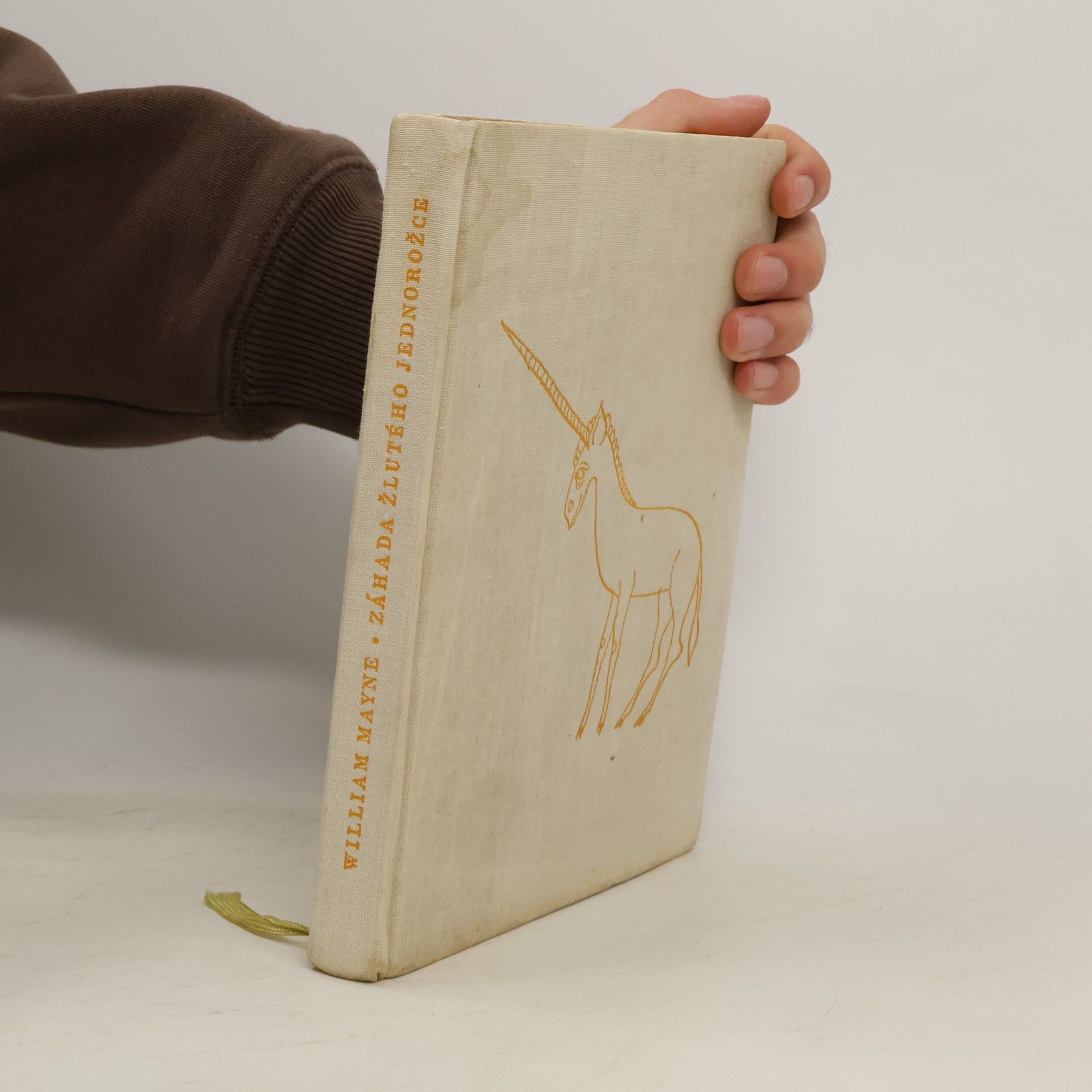 William Mayne Záhada žlutého jednorožce