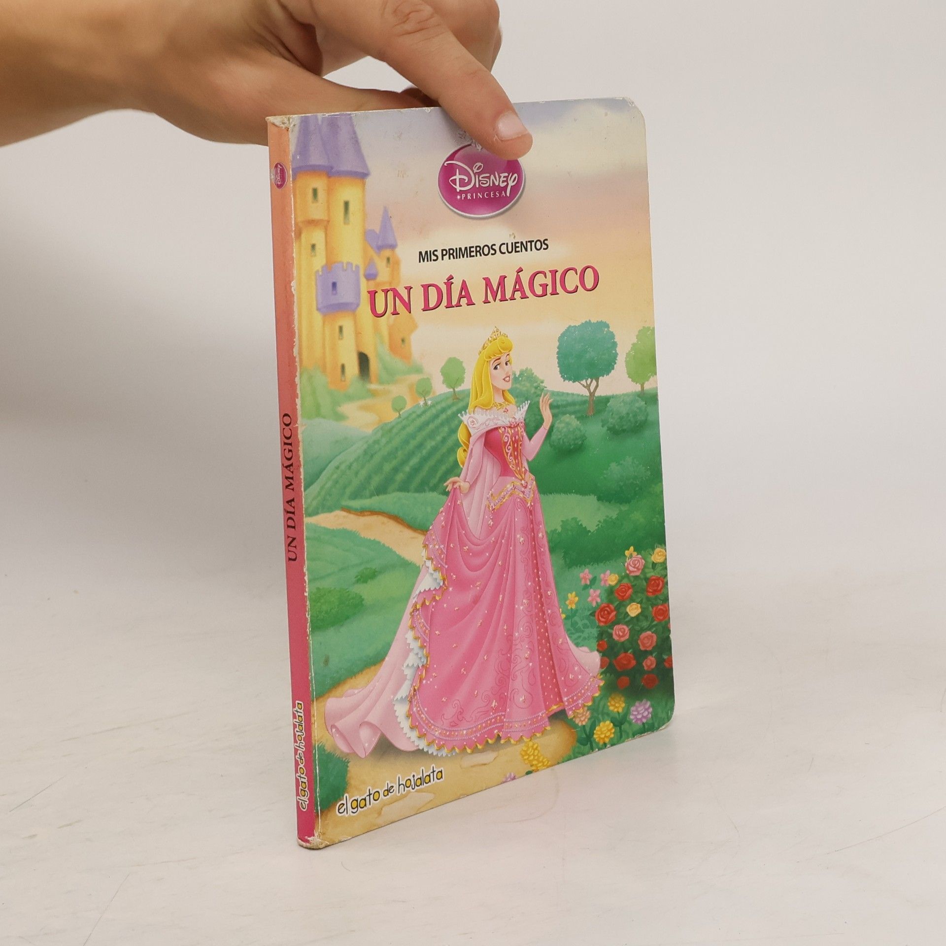 Autores varios Un día mágico