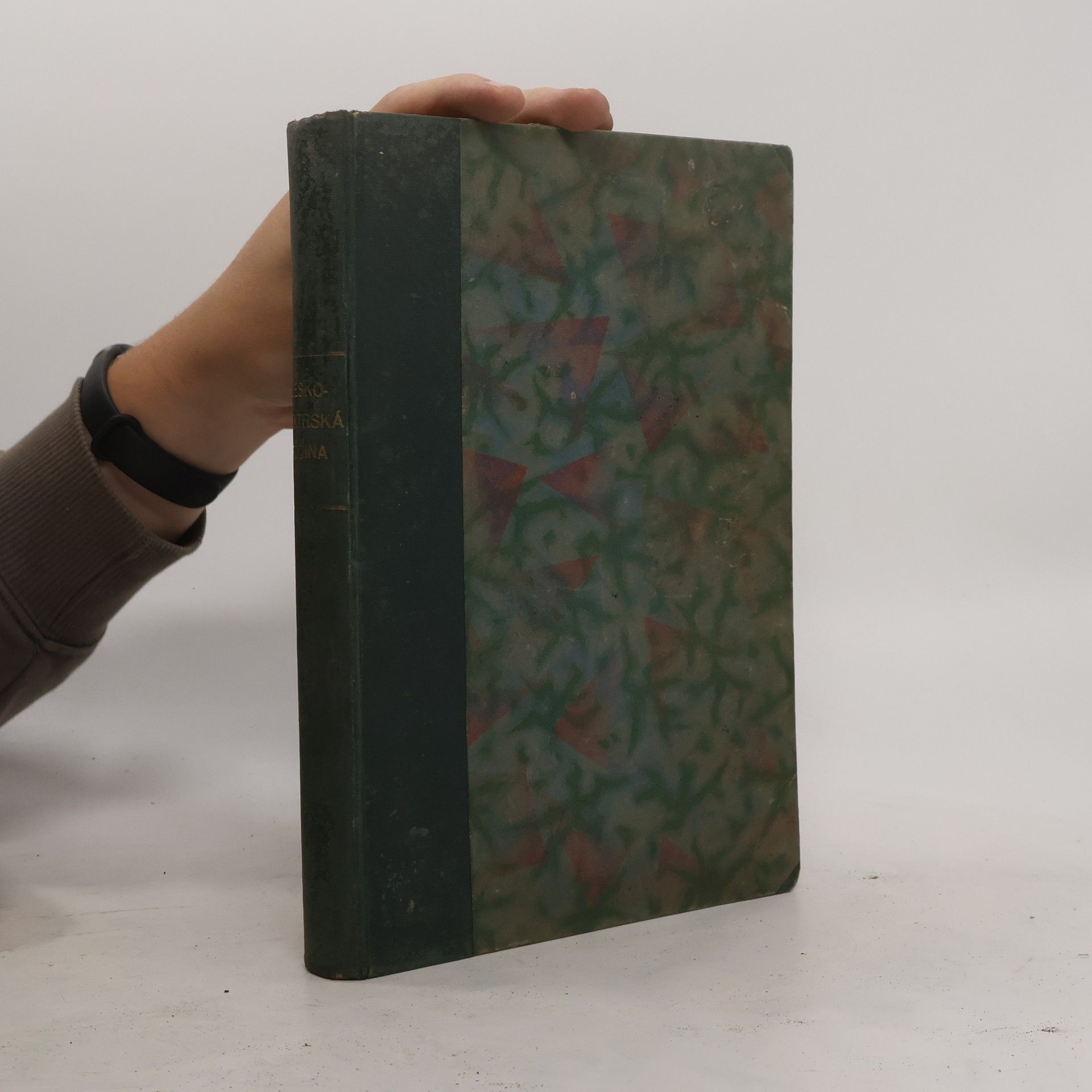 Collectif d'auteurs Českobratrská rodina