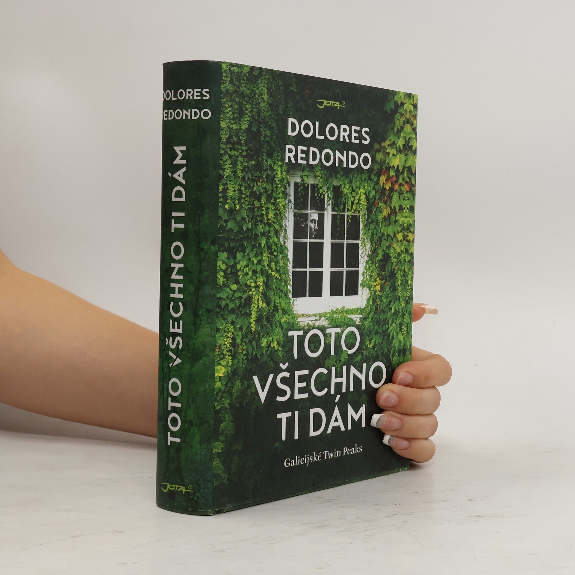 Dolores Redondo Toto všechno ti dám