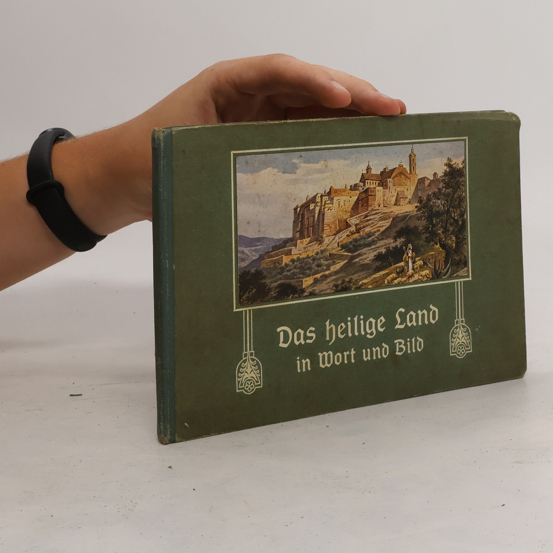 F. Perlberg Das Heilige Land in Wort und Bild