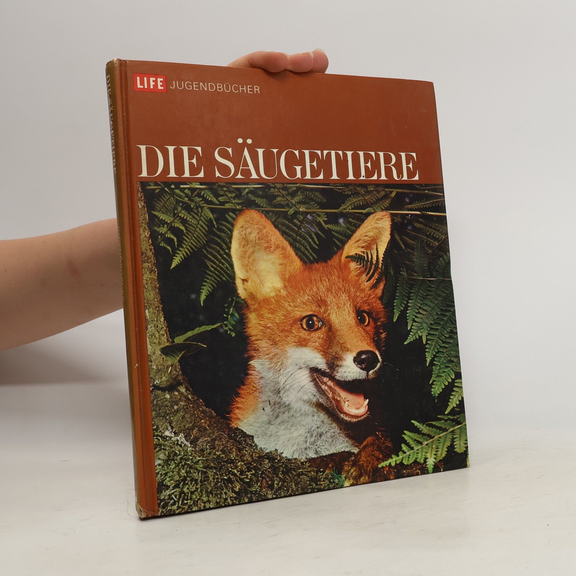 Auteurscollectief Die Säugetiere