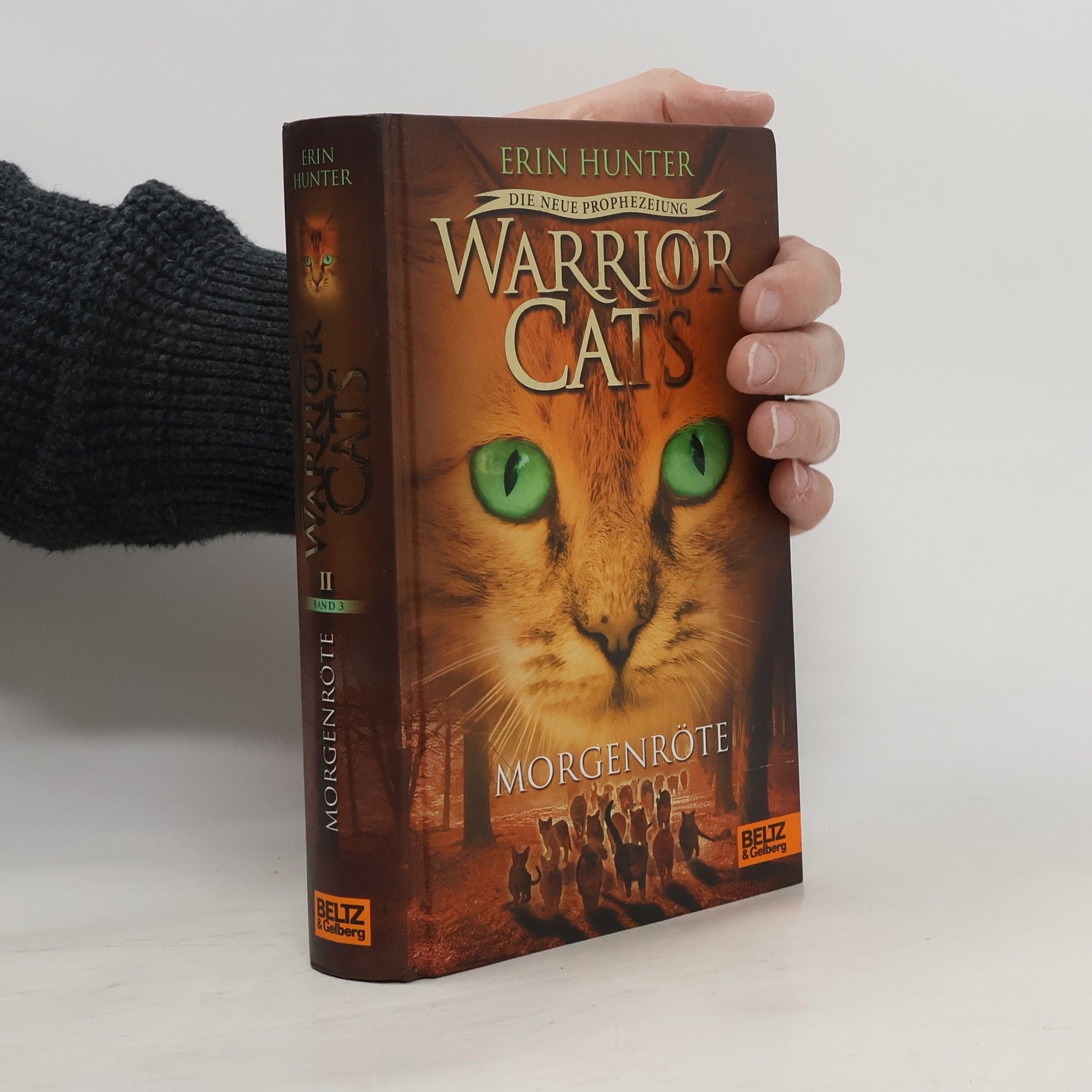 Erin Hunter Warrior Cats - Morgenröte
