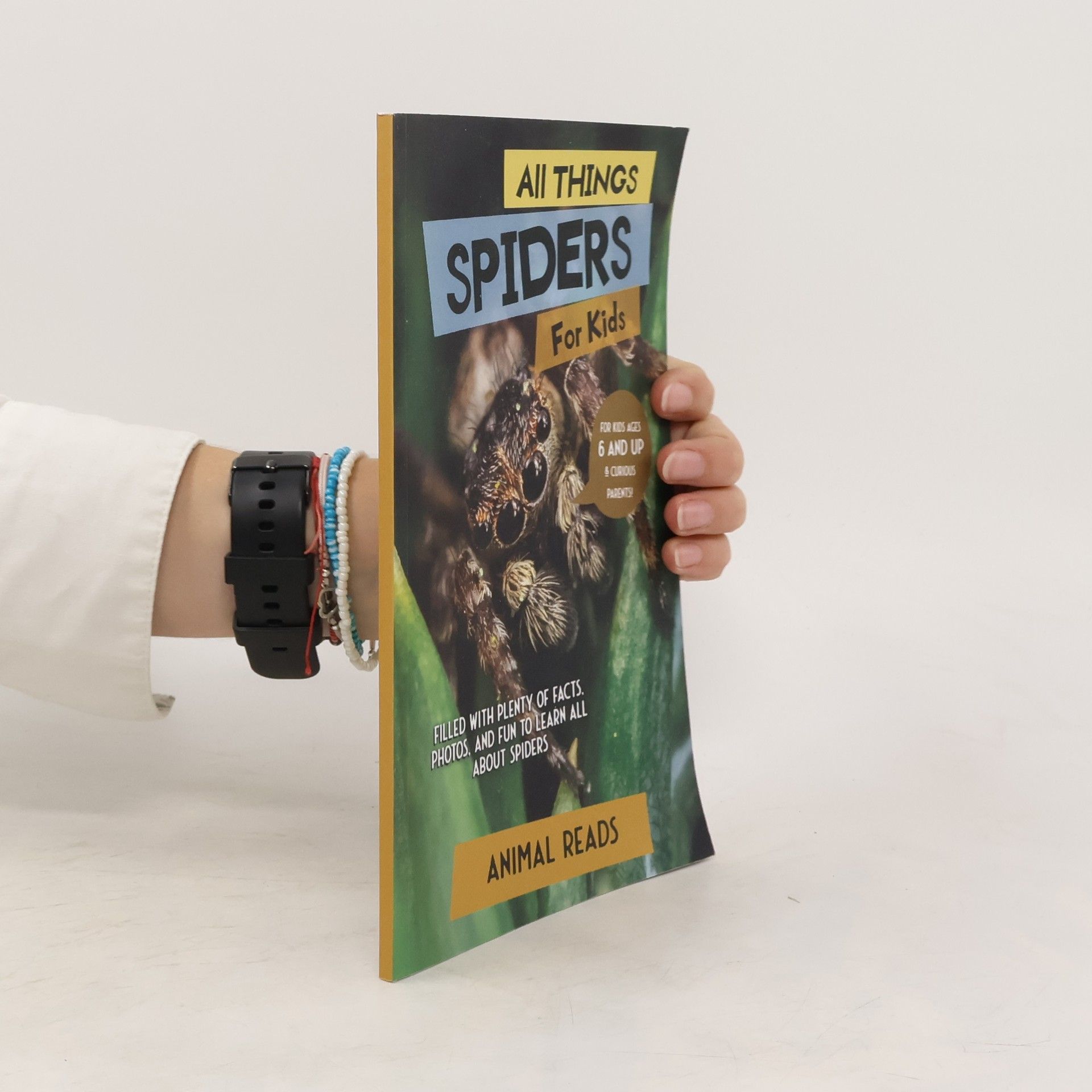 Animal Reads All Things Spiders For Kids