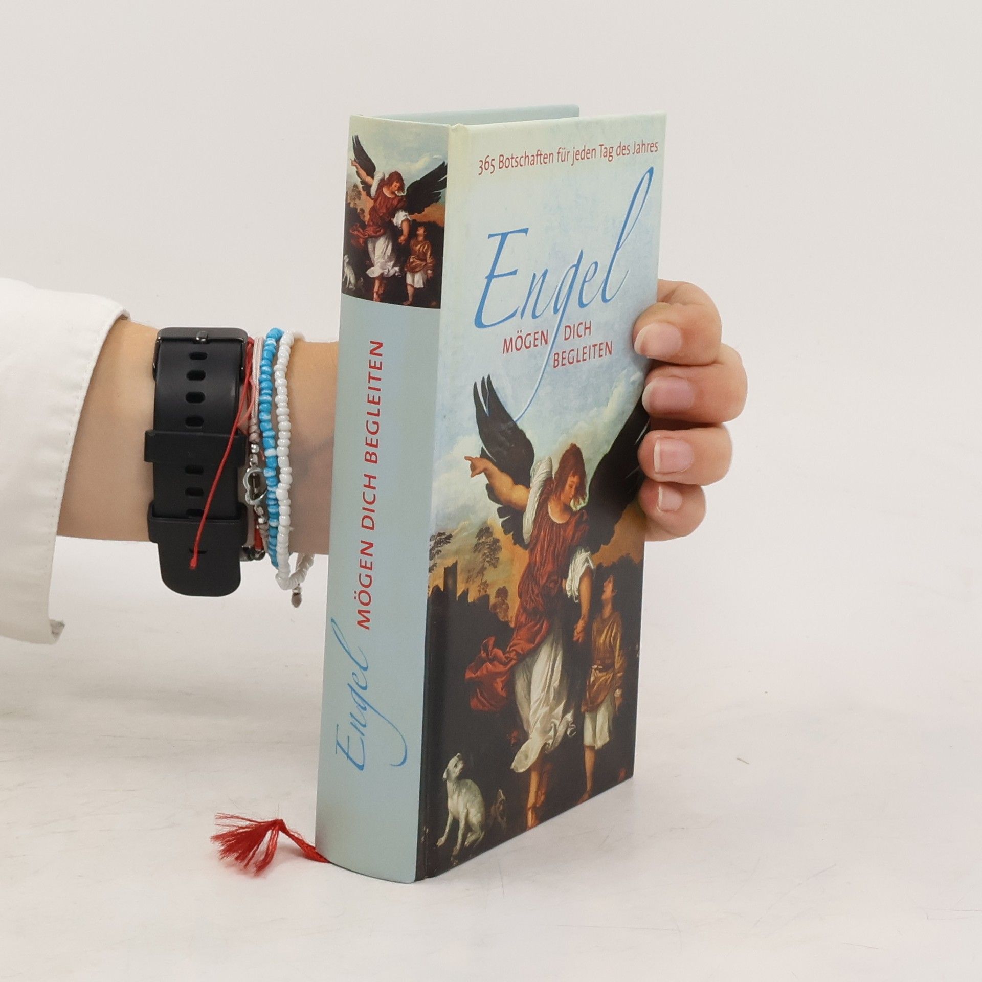 Autorenkollektiv Engel mögen dich begleiten