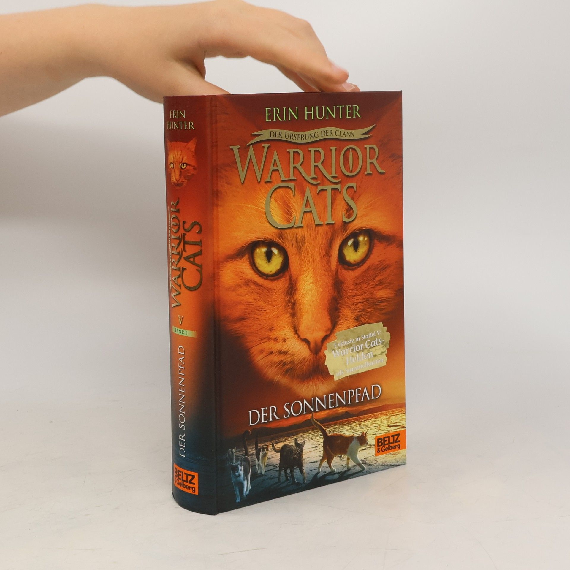 Erin Hunter Der Sonnenpfad