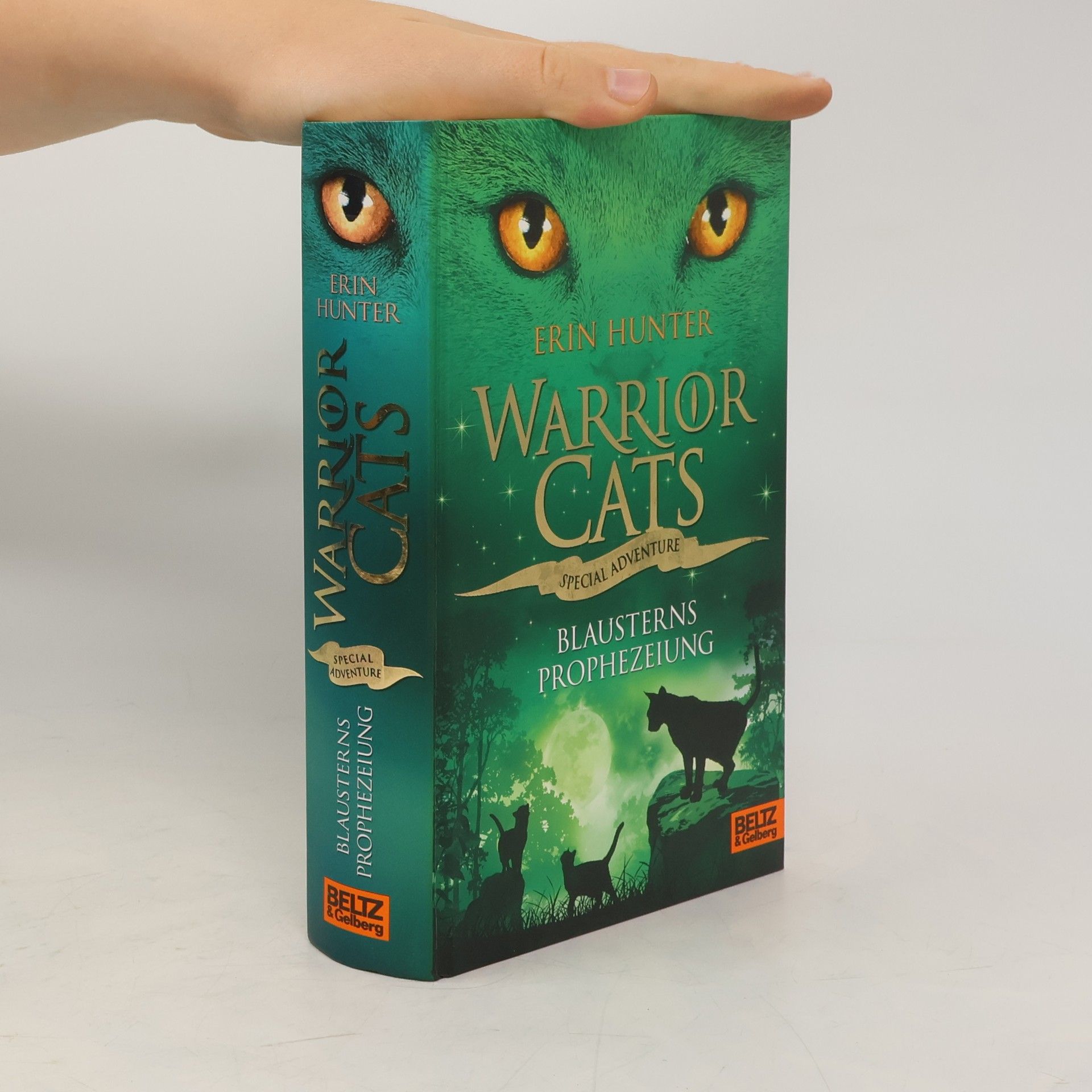 Erin Hunter Warrior cats. Special Adventure