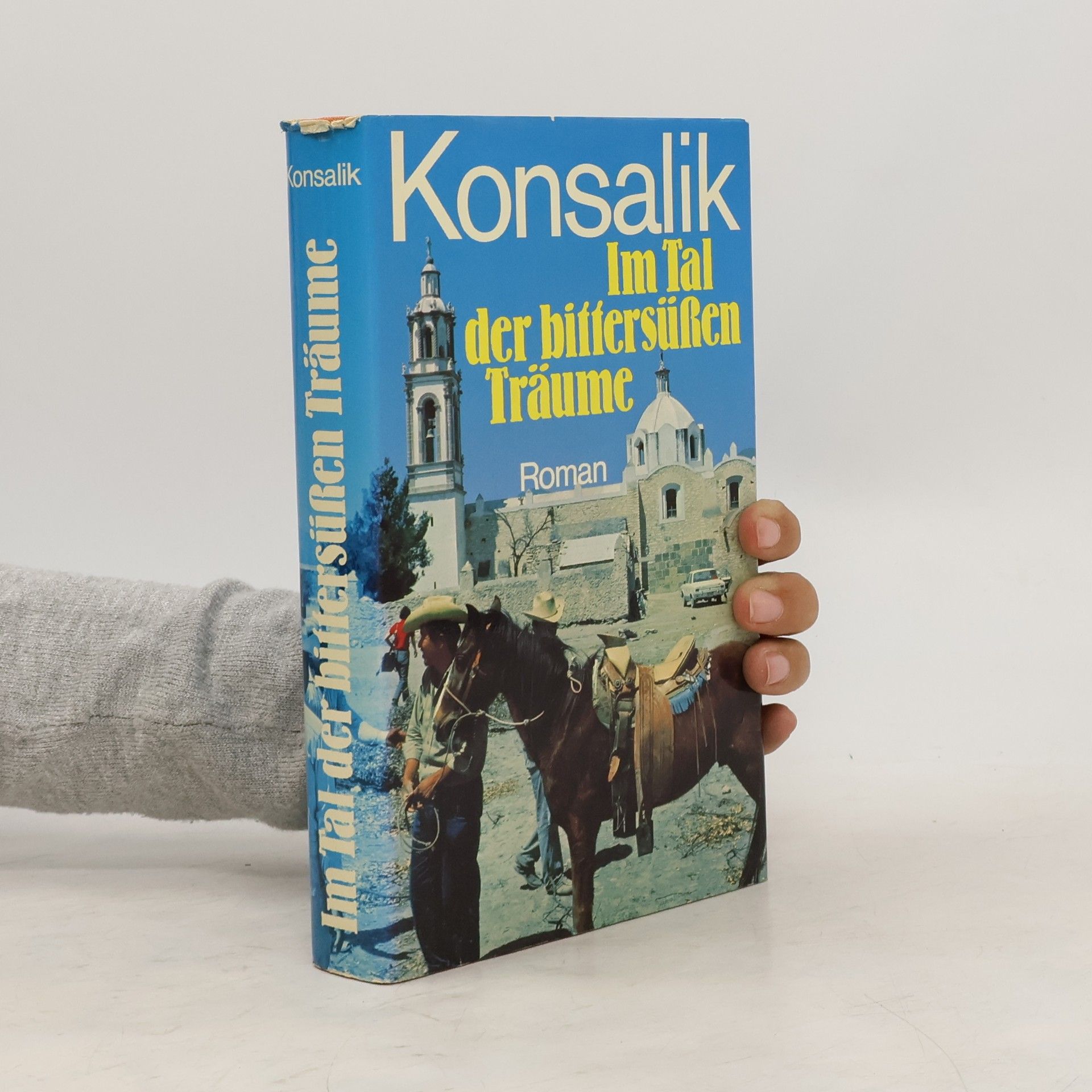 Im Tal der bittersüßen Träume