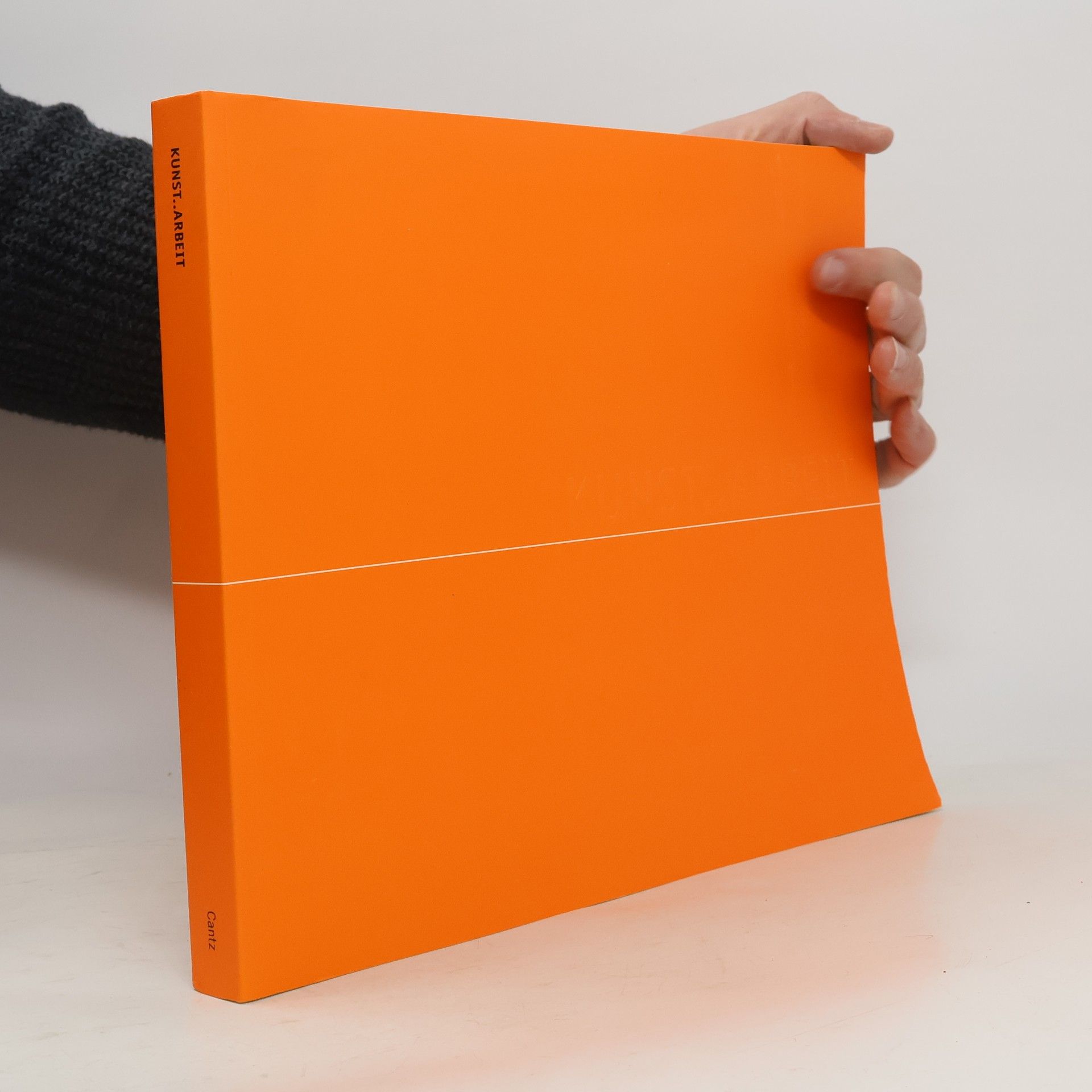 Stephan Schmidt-Wulffen Kunst..Arbeit