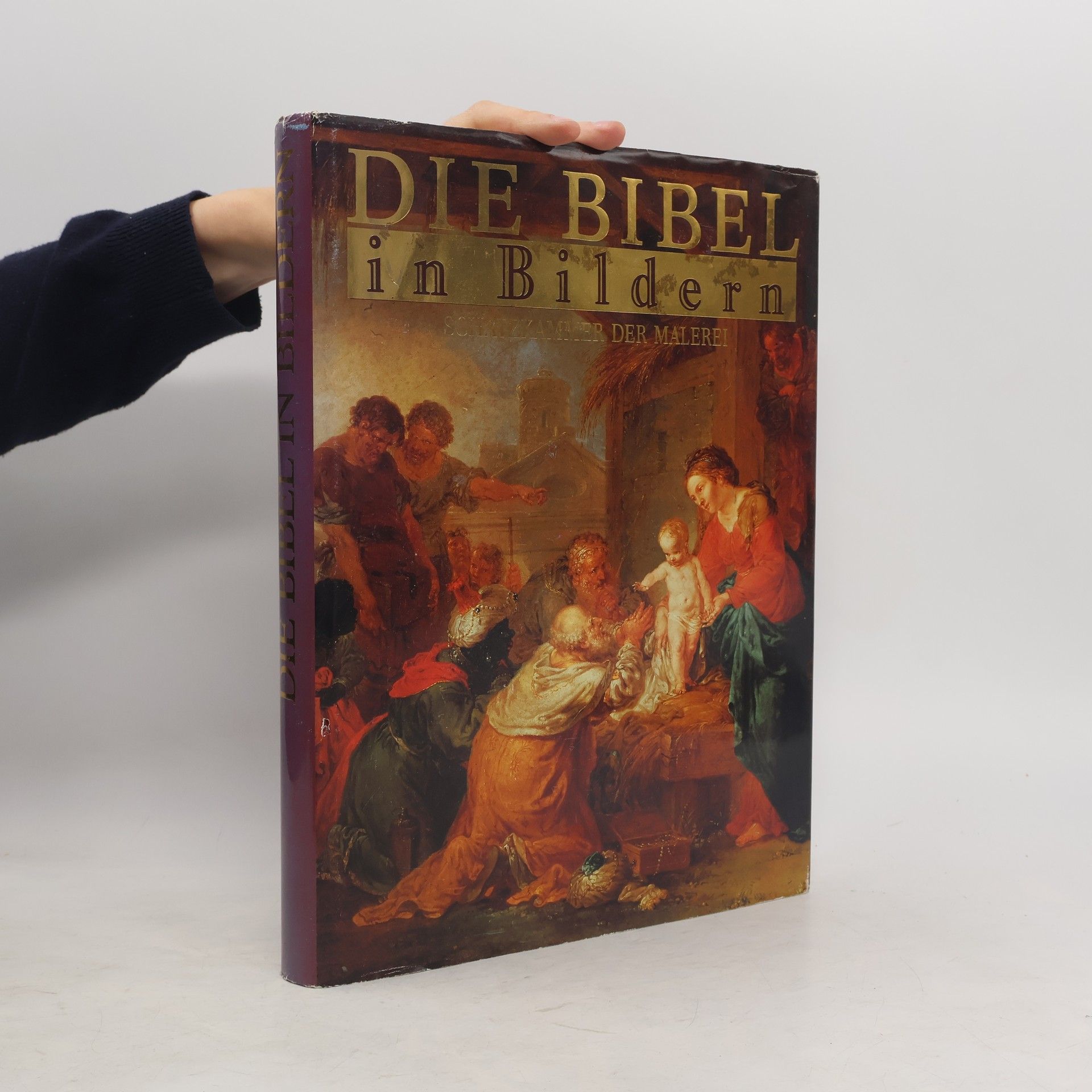 Kolektiv autorů Die Bibel in Bildern. Schatzkammer der Malerei