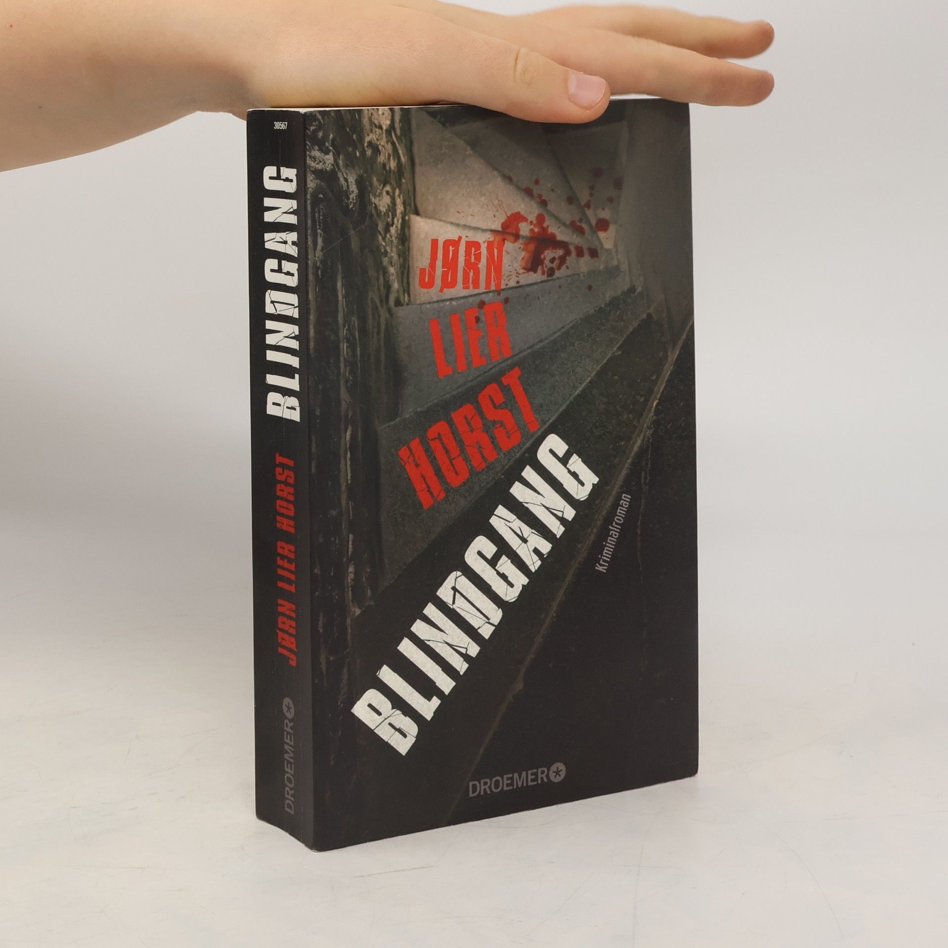 Jørn Lier Horst Blindgang