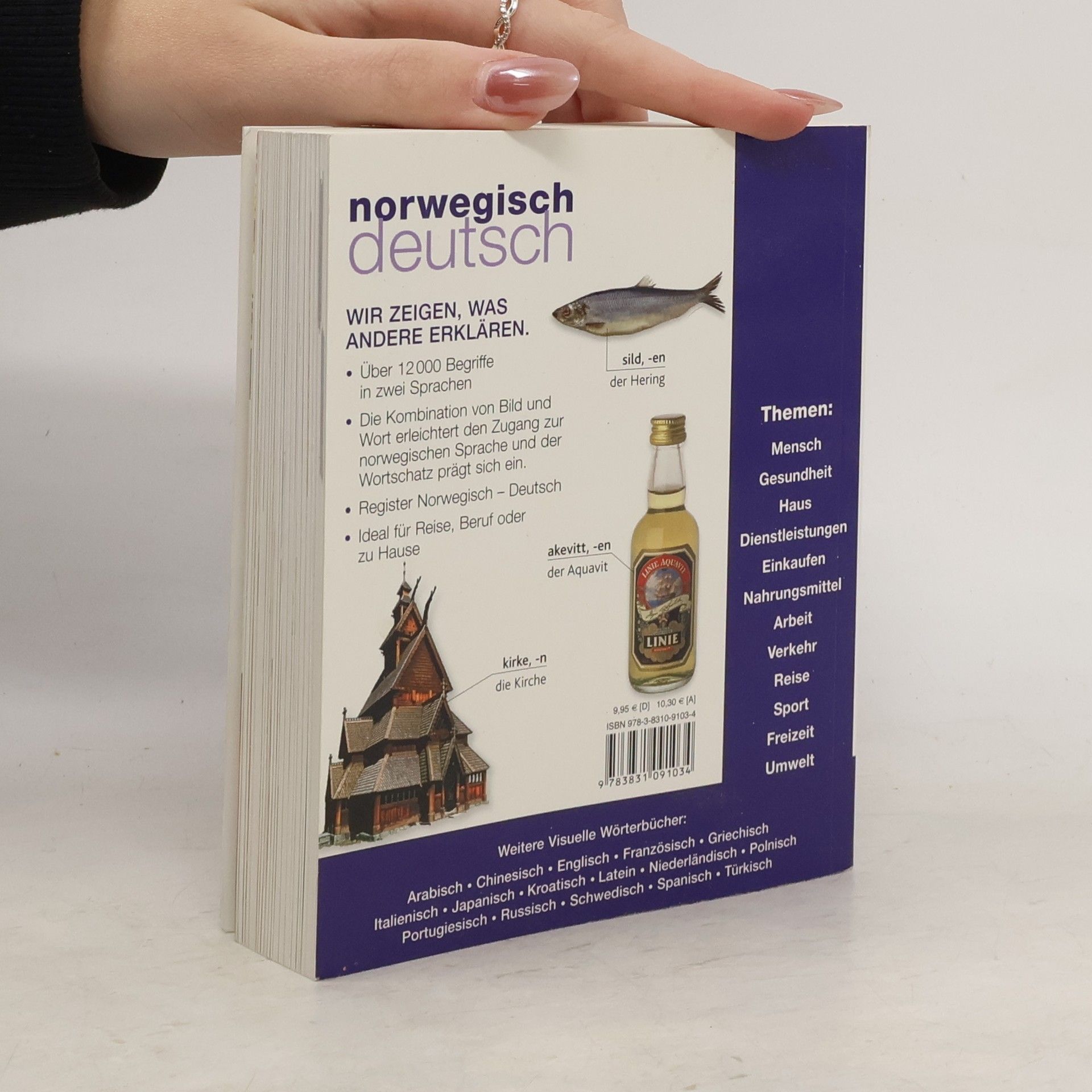 Autorenkollektiv Visuelles Wörterbuch Norwegisch-Deutsch