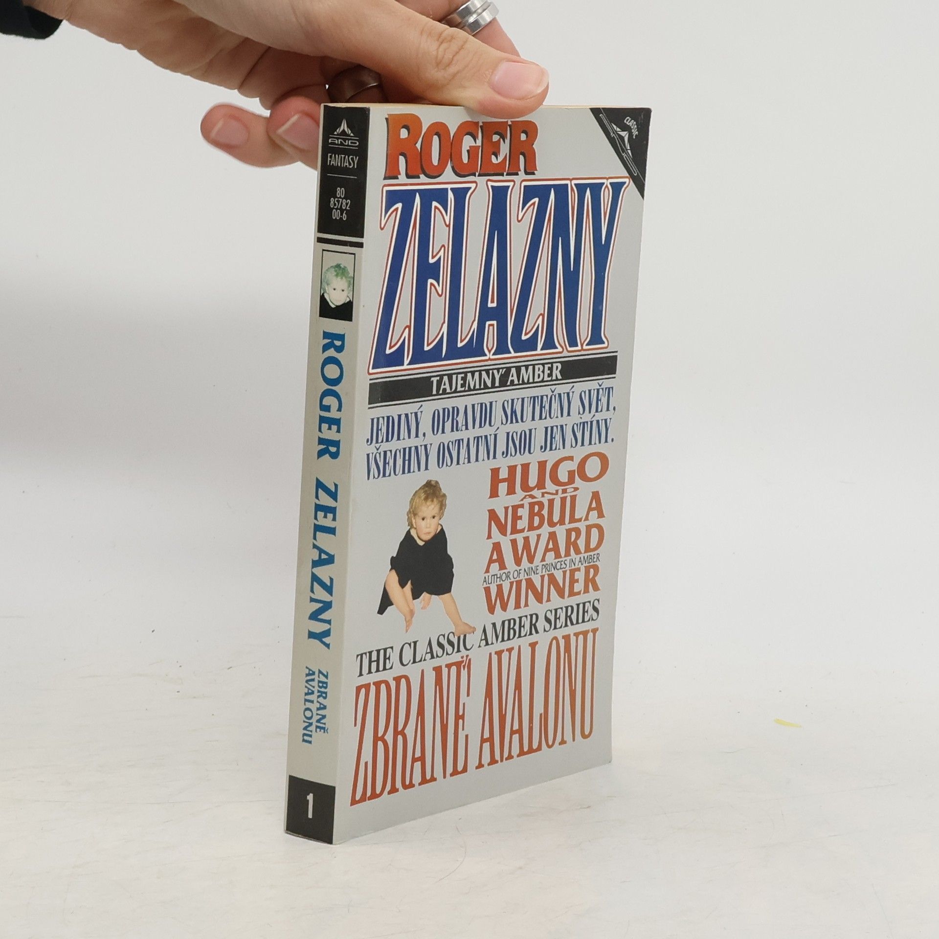 Tajemný Amber. Zbraně Avalonu