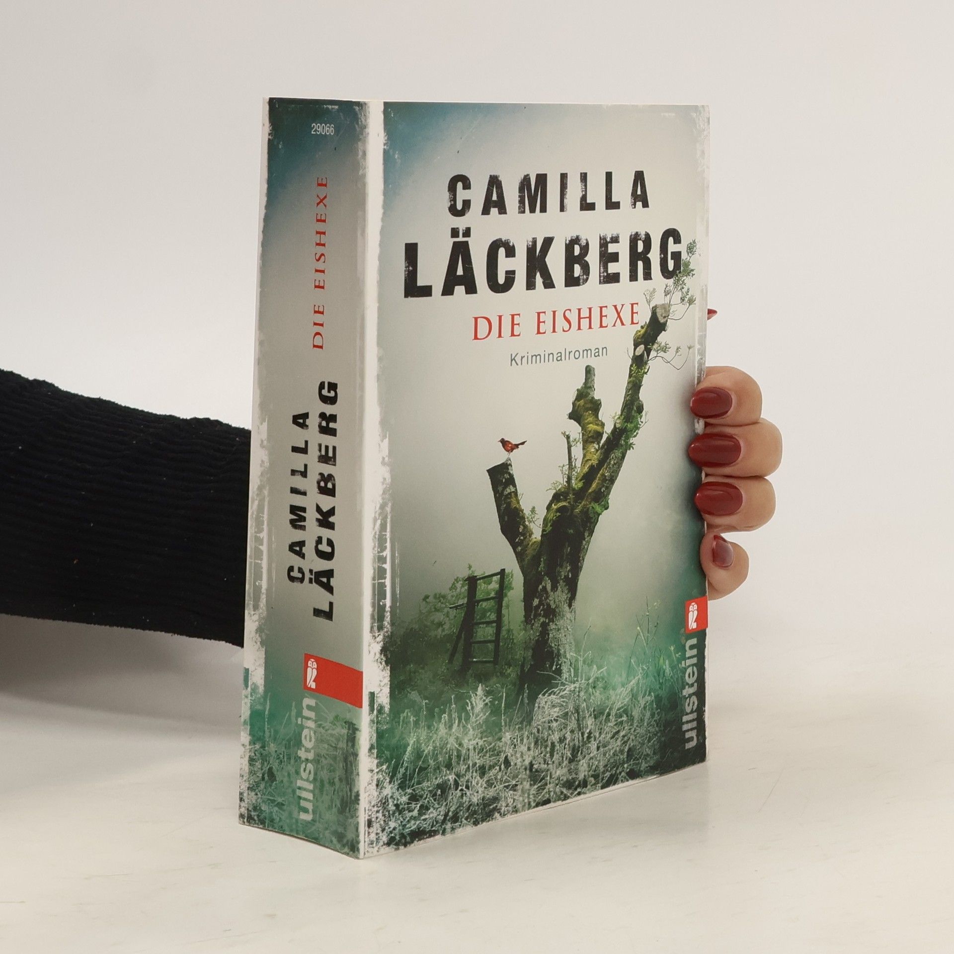 Camilla Läckberg Die Eishexe