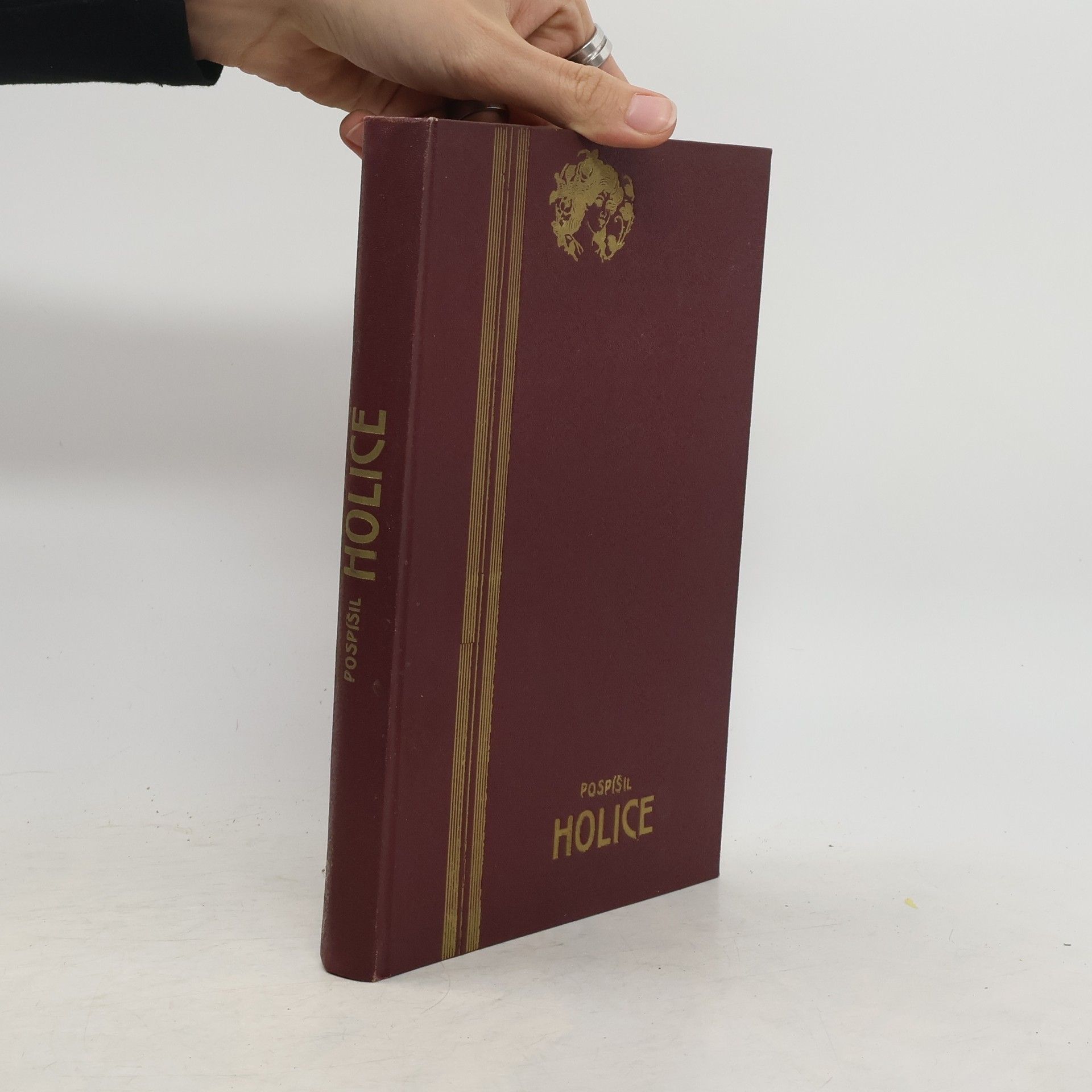 Kolektív autorov Holice