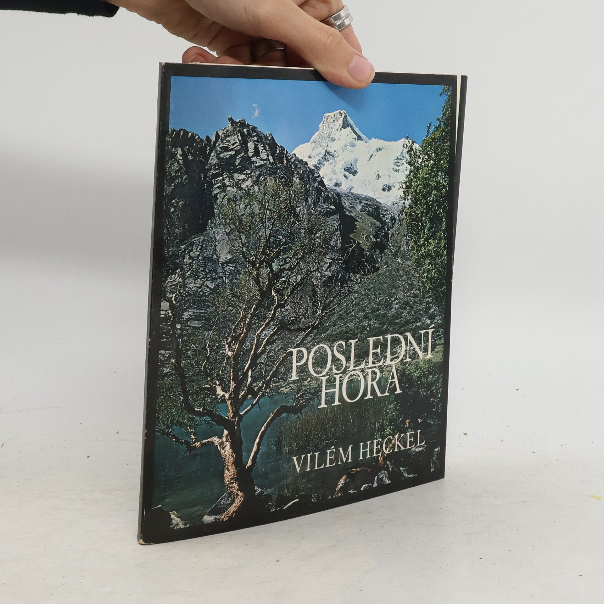 Vilém Heckel Poslední hora