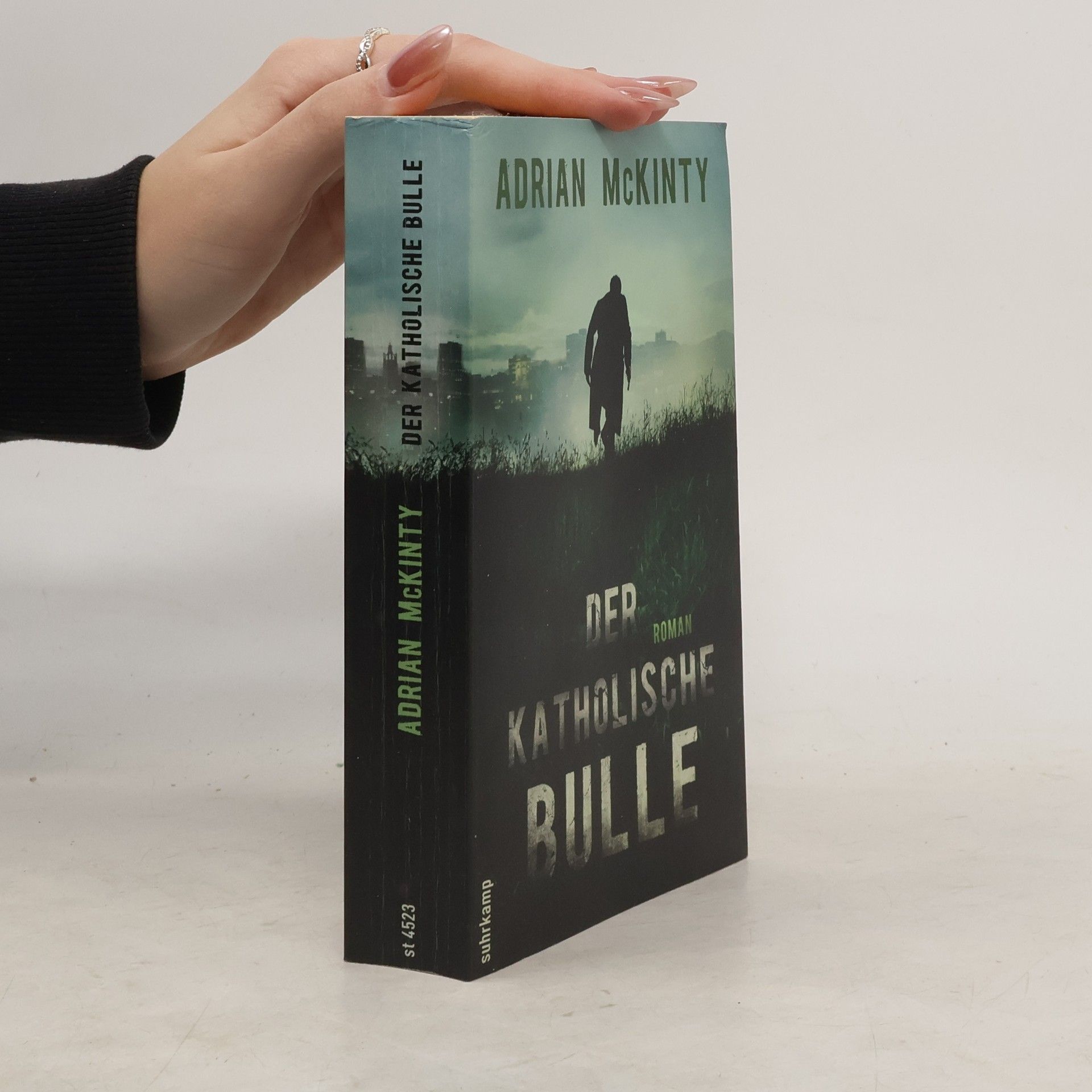 Adrian McKinty Der katholische Bulle