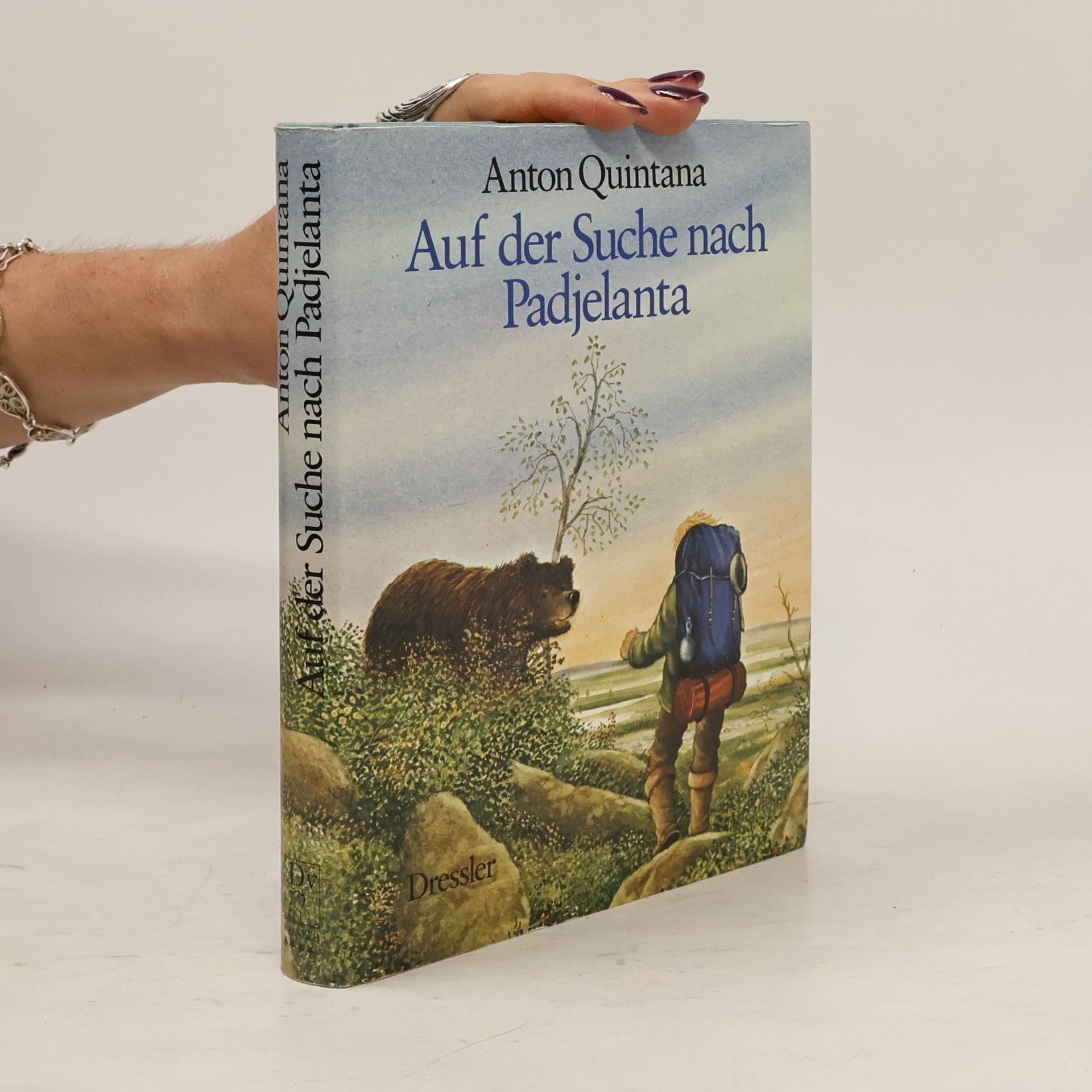 Auf der Suche nach Padjelanta