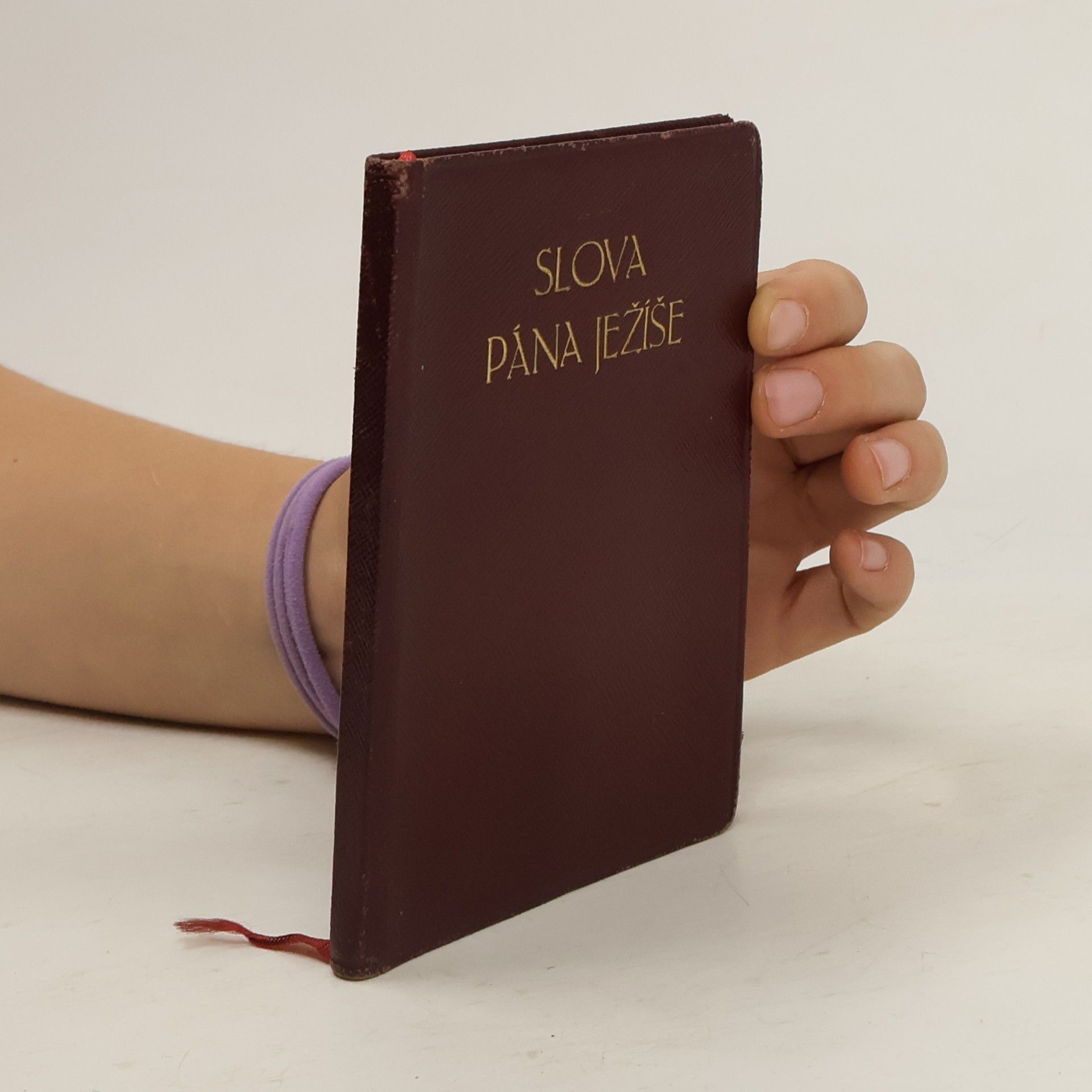 AA.VV. Slova Pána Ježíše