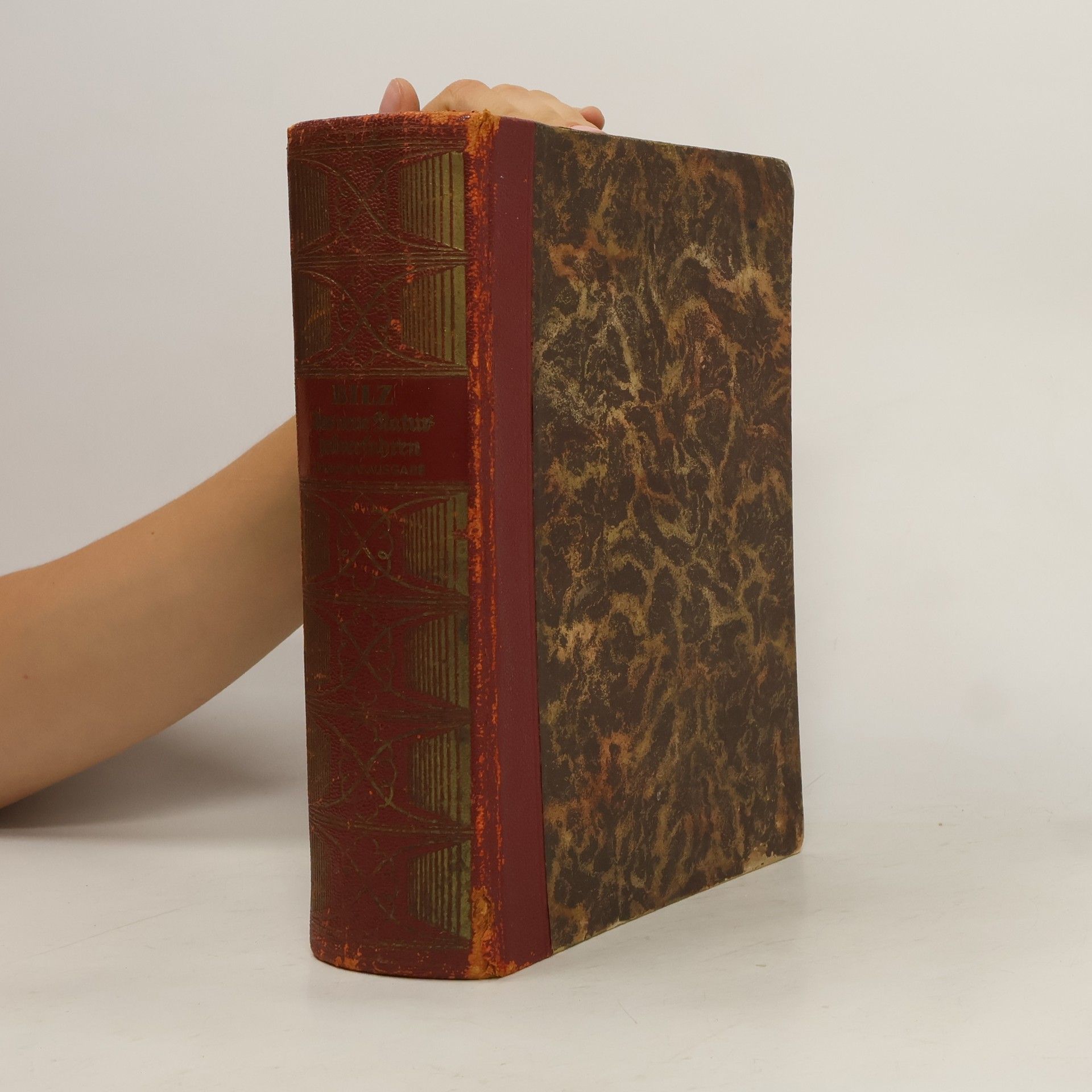 Bilz Das neue Naturheilverfahren