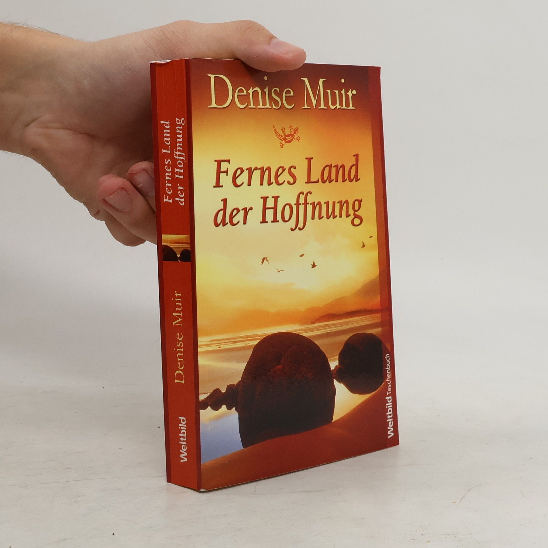 Denise Muir Fernes Land der Hoffnung