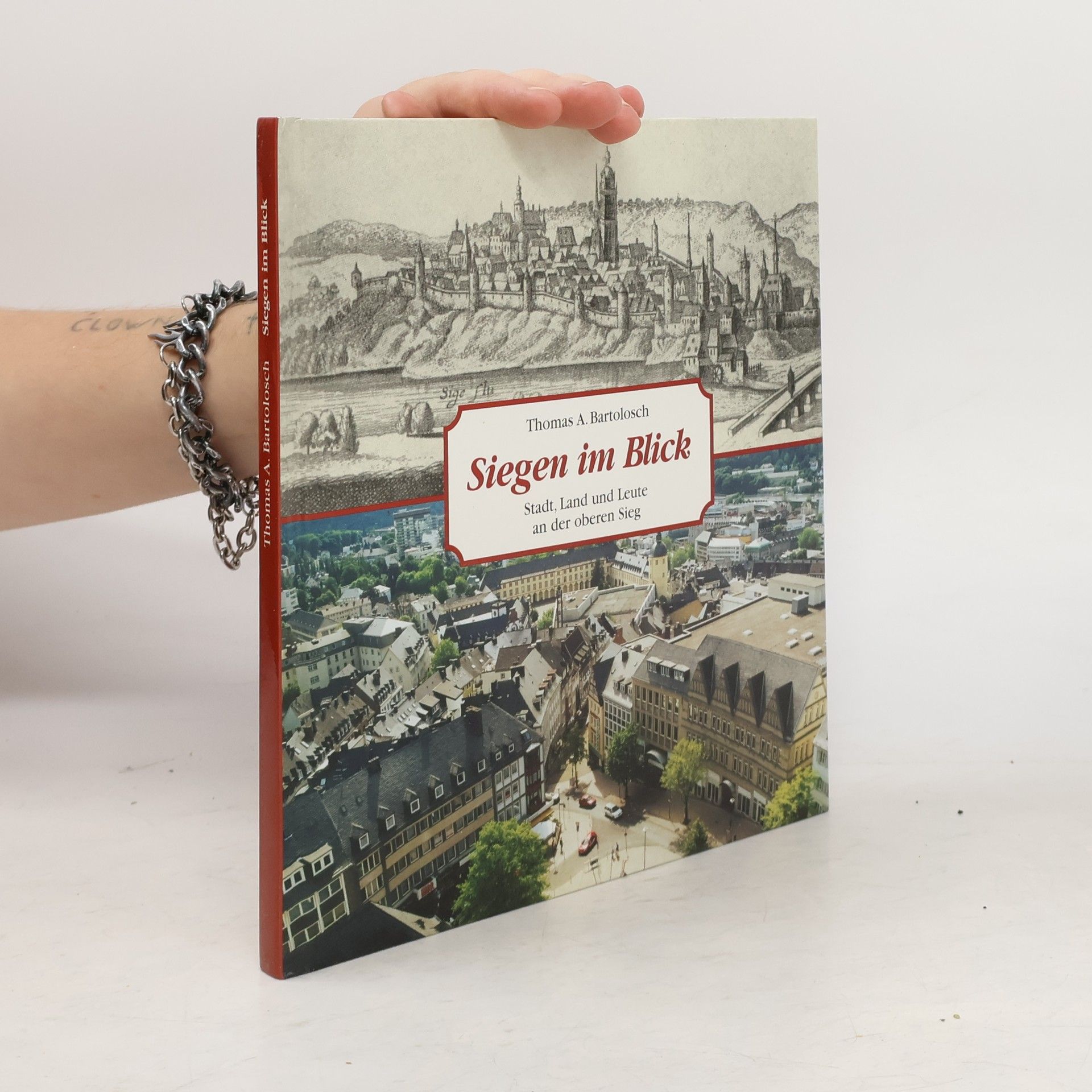 Siegen im Blick