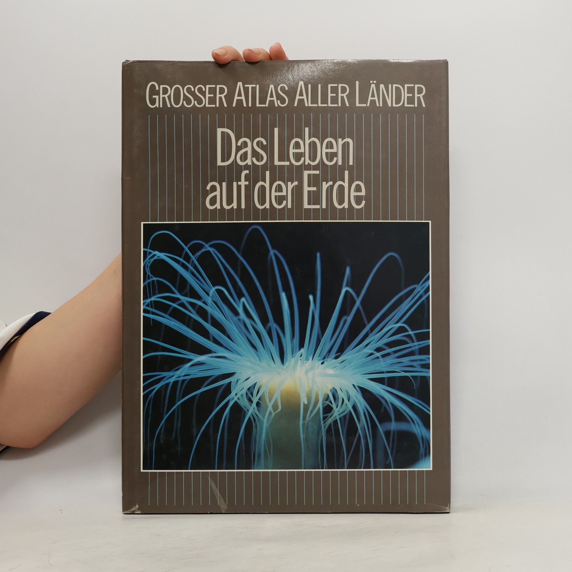 Autorenkollektiv Das Leben auf der Erde