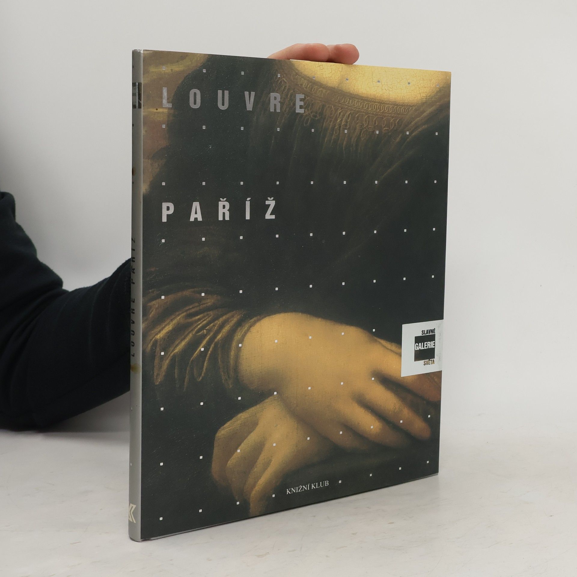 Alessandra Fregolent Slavné galerie světa. Louvre - Paříž