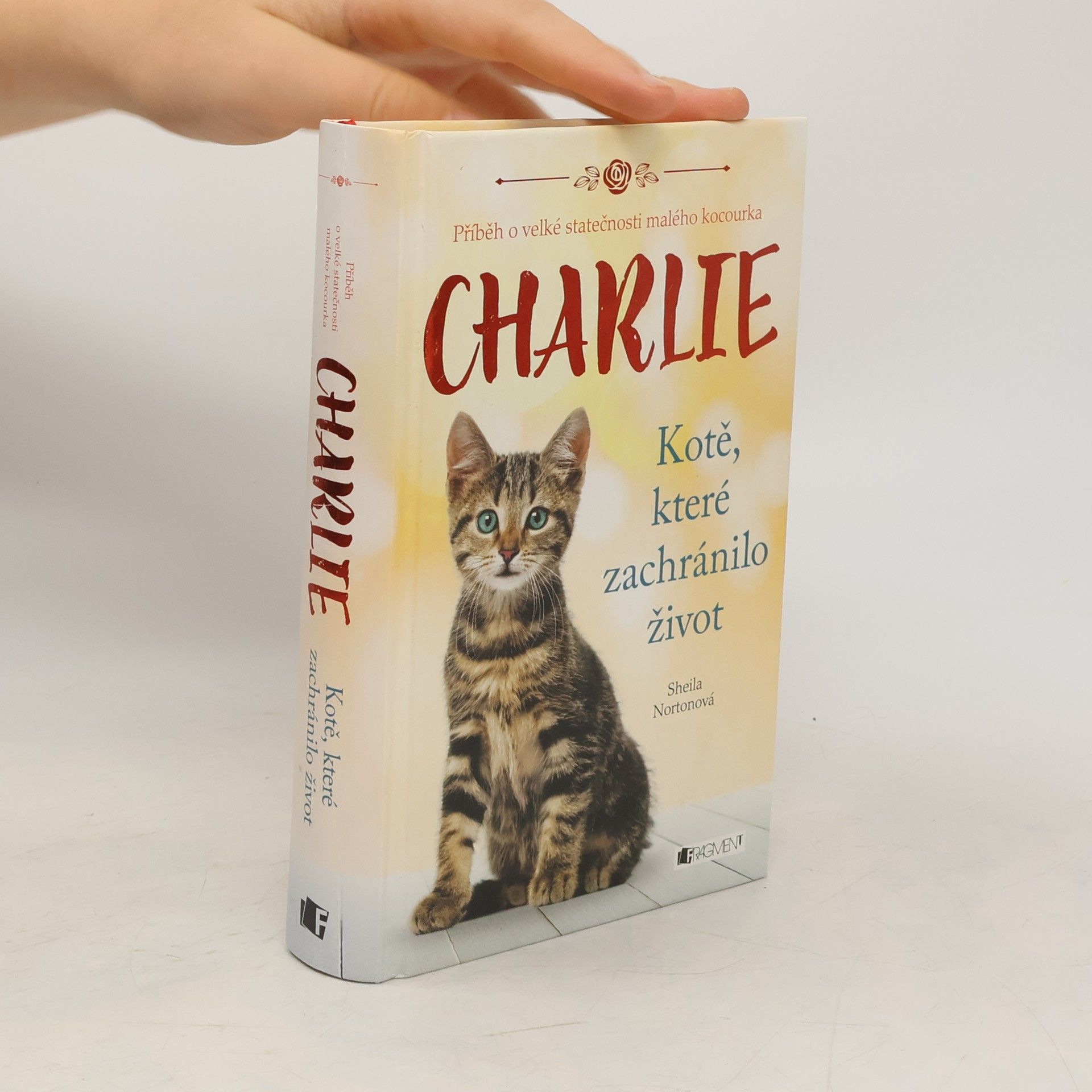 Charlie - kotě, které zachránilo život