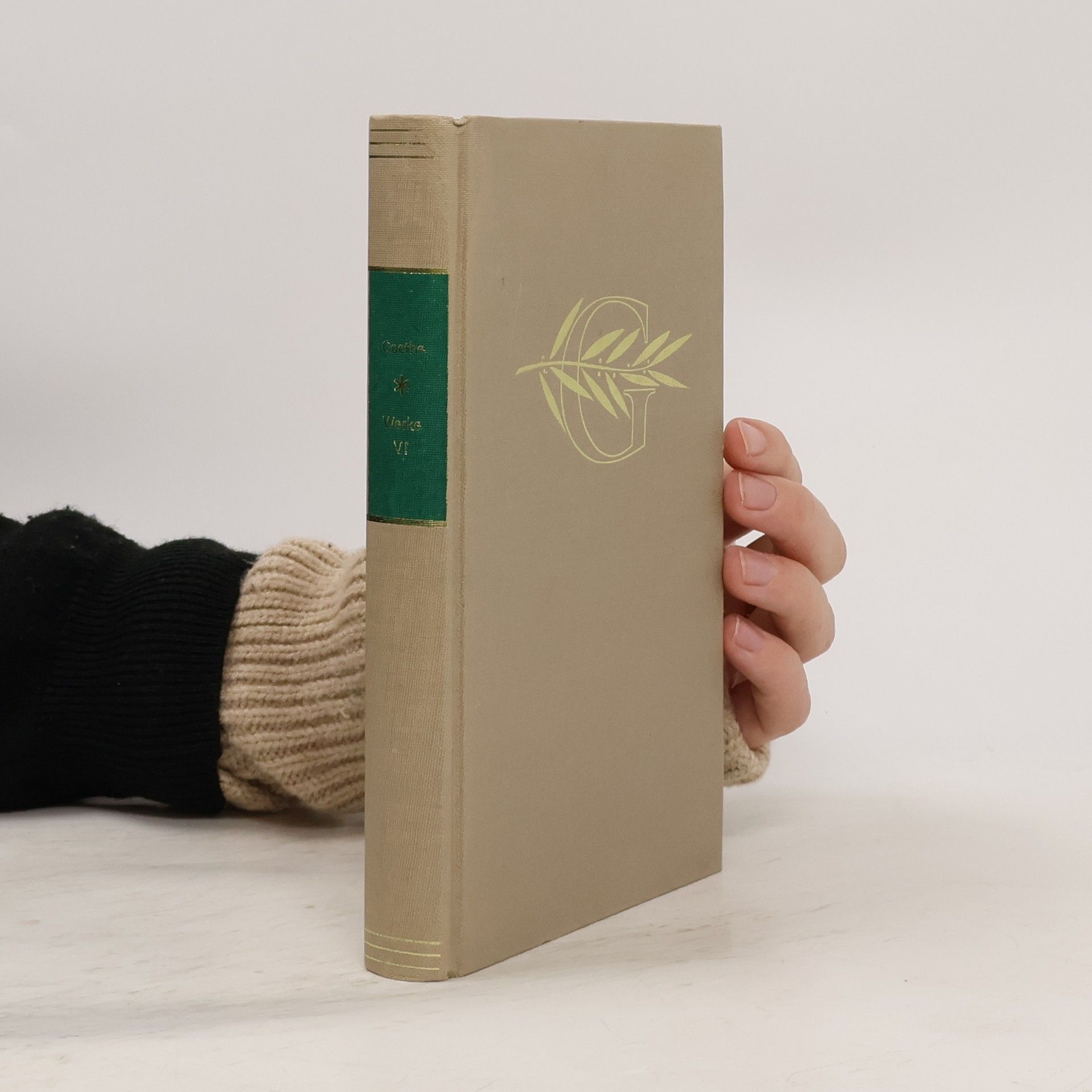 Johann Wolfgang von Goethe Goethes Werke VI