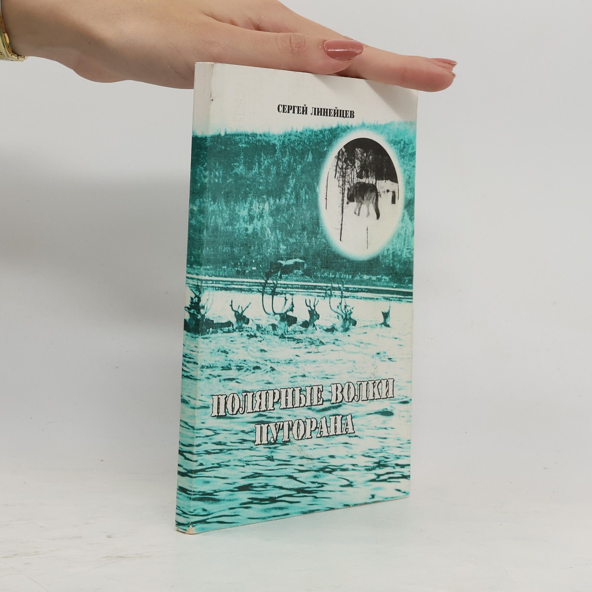 Sergey Lineytsev Полярные волки путорана