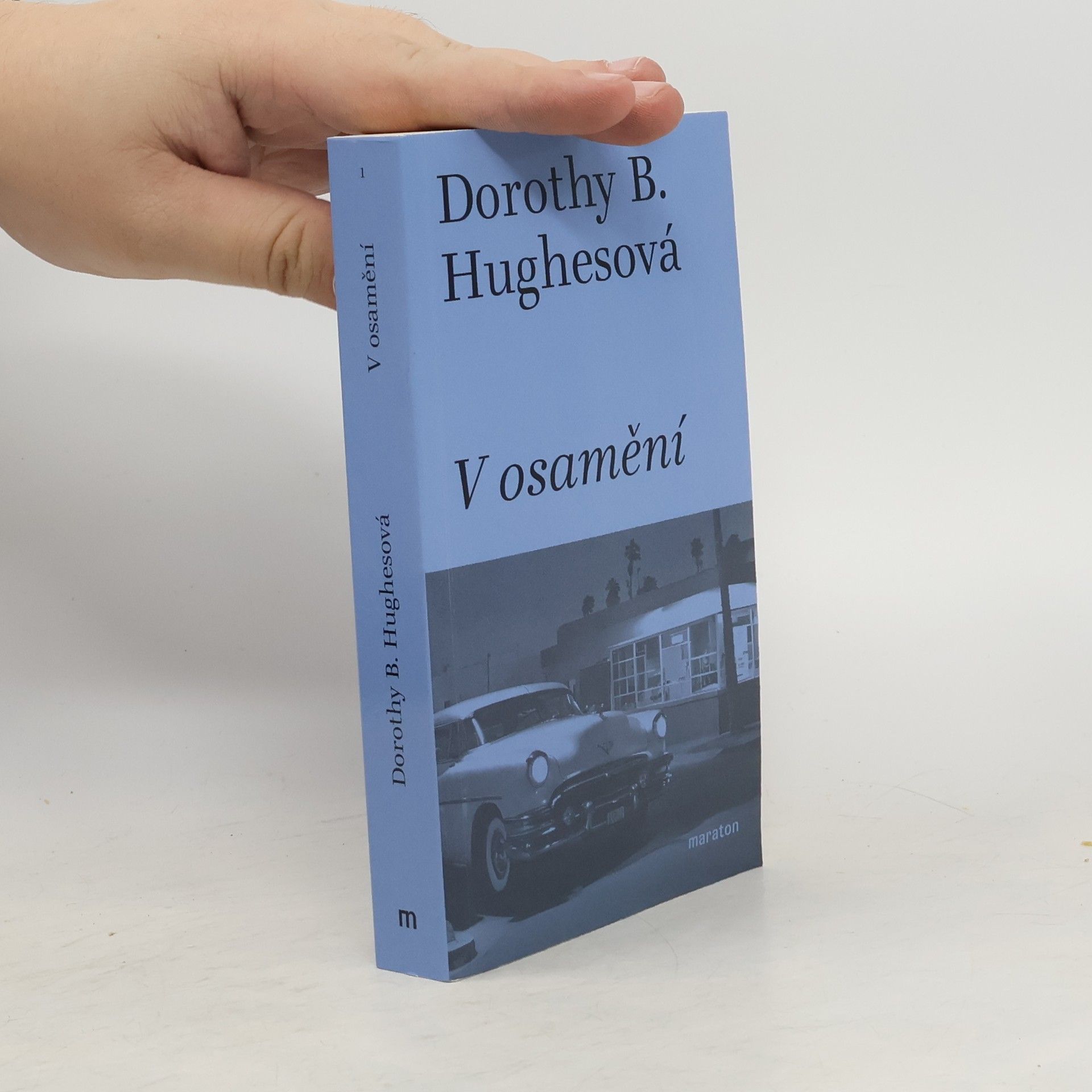 Martin Pokorný V osamění