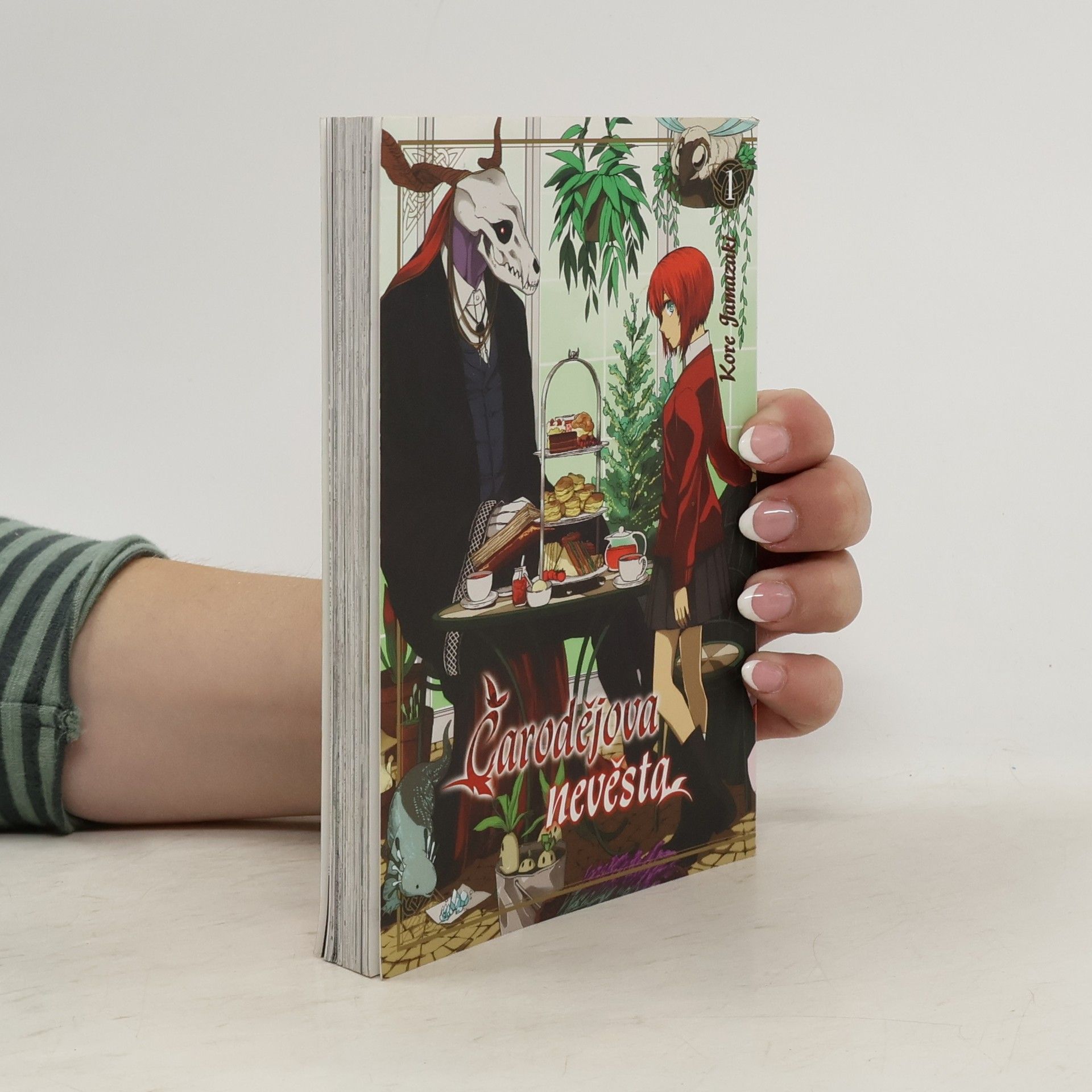 Kore Jamazaki Čarodějova nevěsta 1