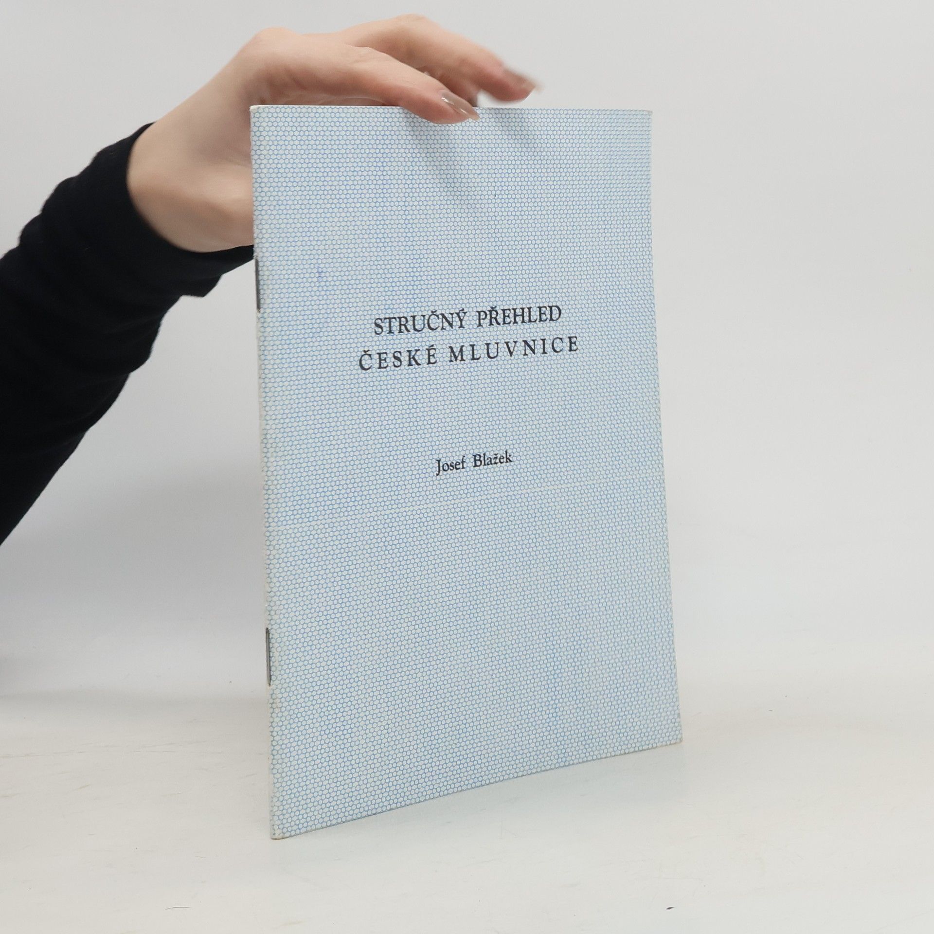 Josef Blažek Stručný přehled české mluvnice