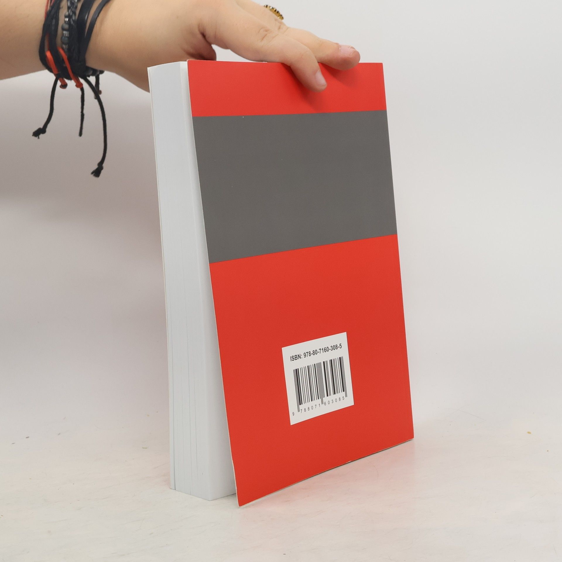 Kolektiv autorů Míľniky práva v stredoeurópskom priestore 2010. II. Časť