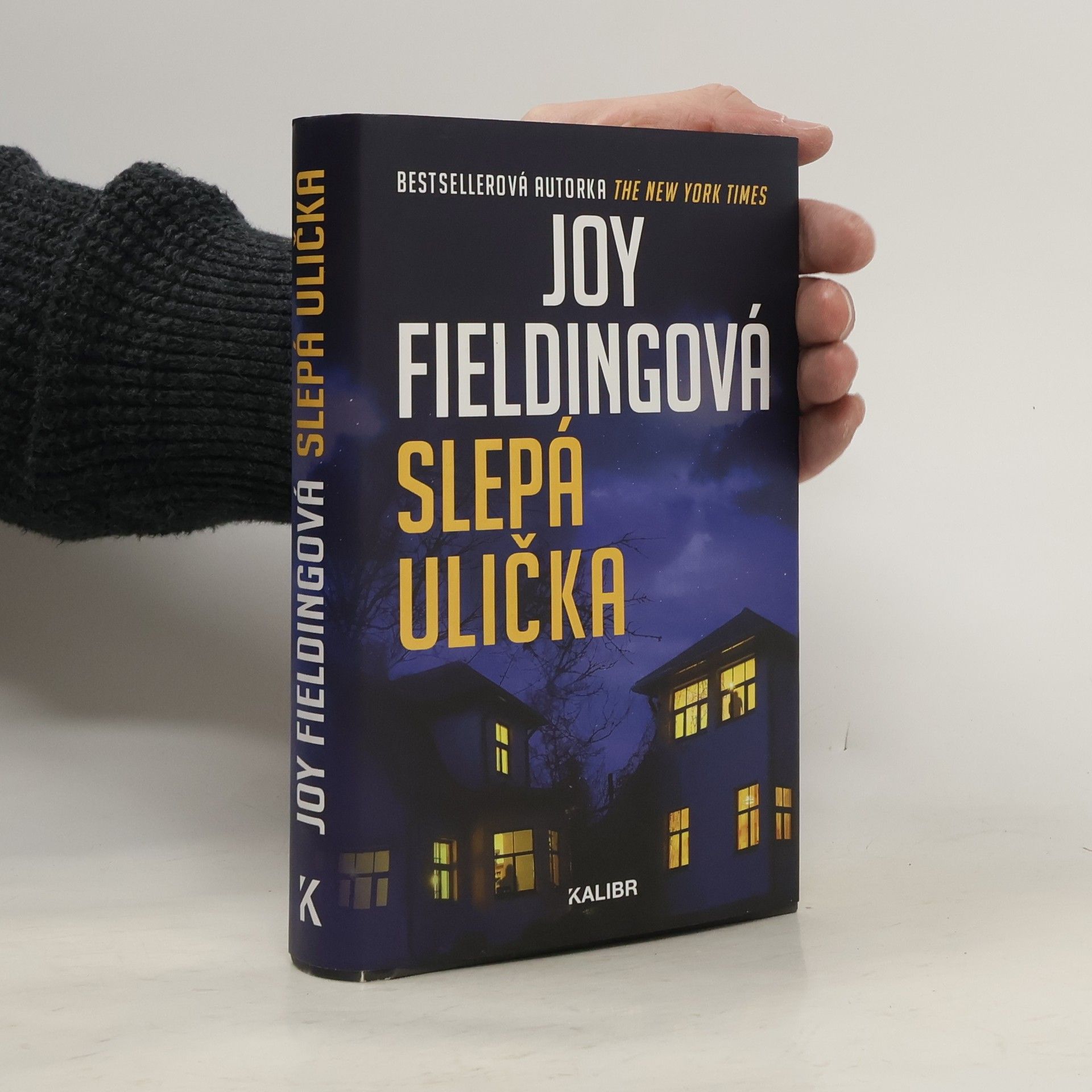 Joy Fielding Slepá ulička