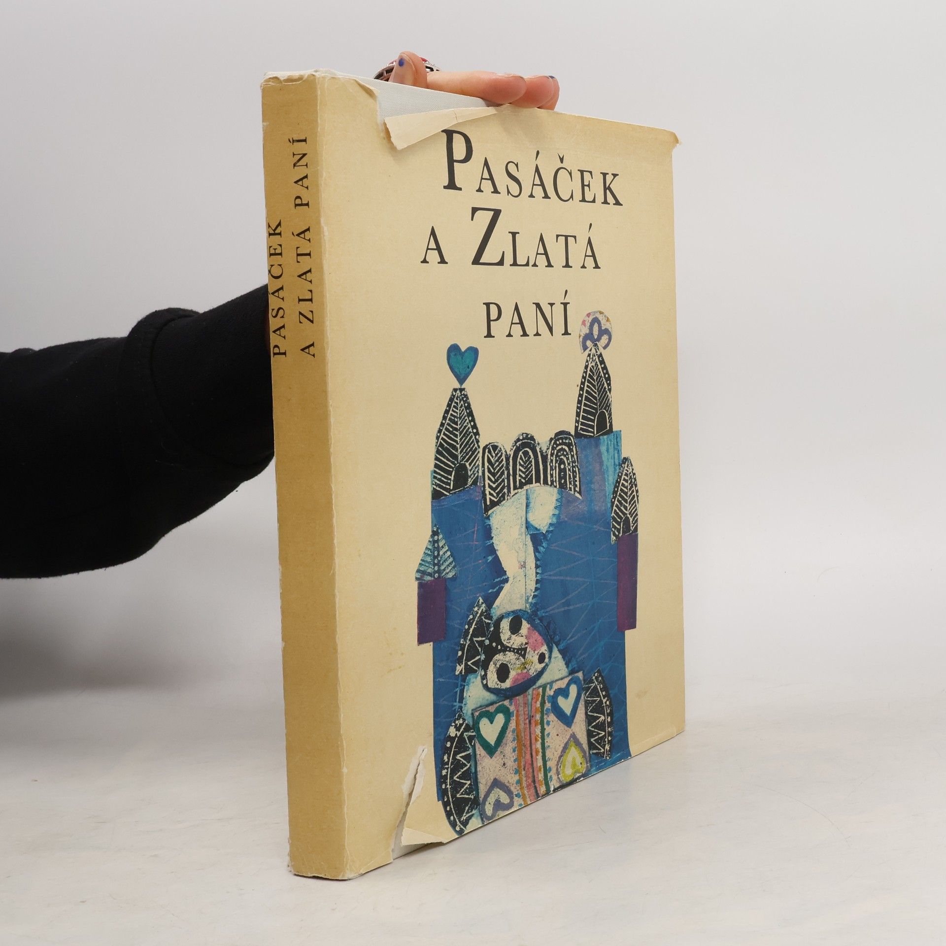 Autorenkollektiv Pasáček a zlatá paní