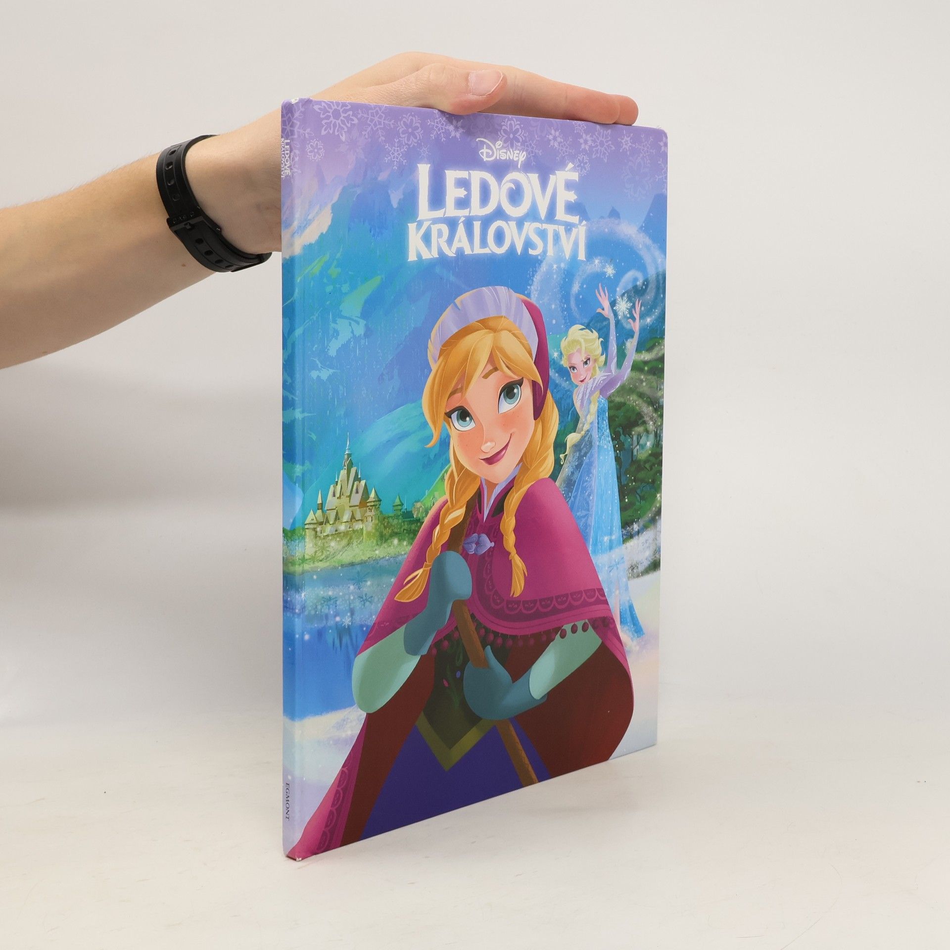 Kolektiv autorů Ledové království