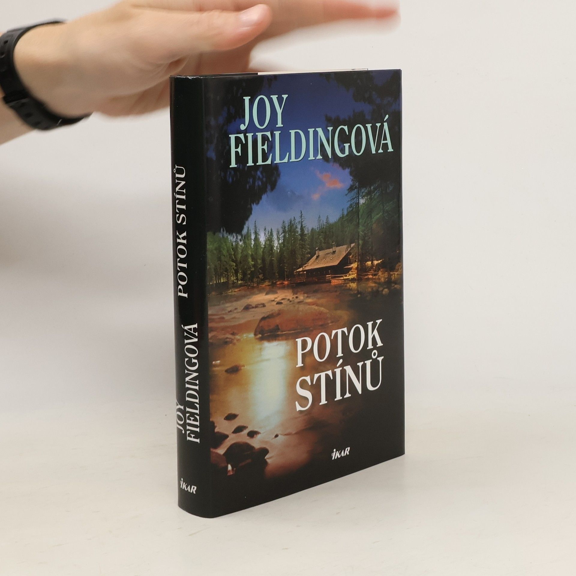 Joy Fielding Potok stínů