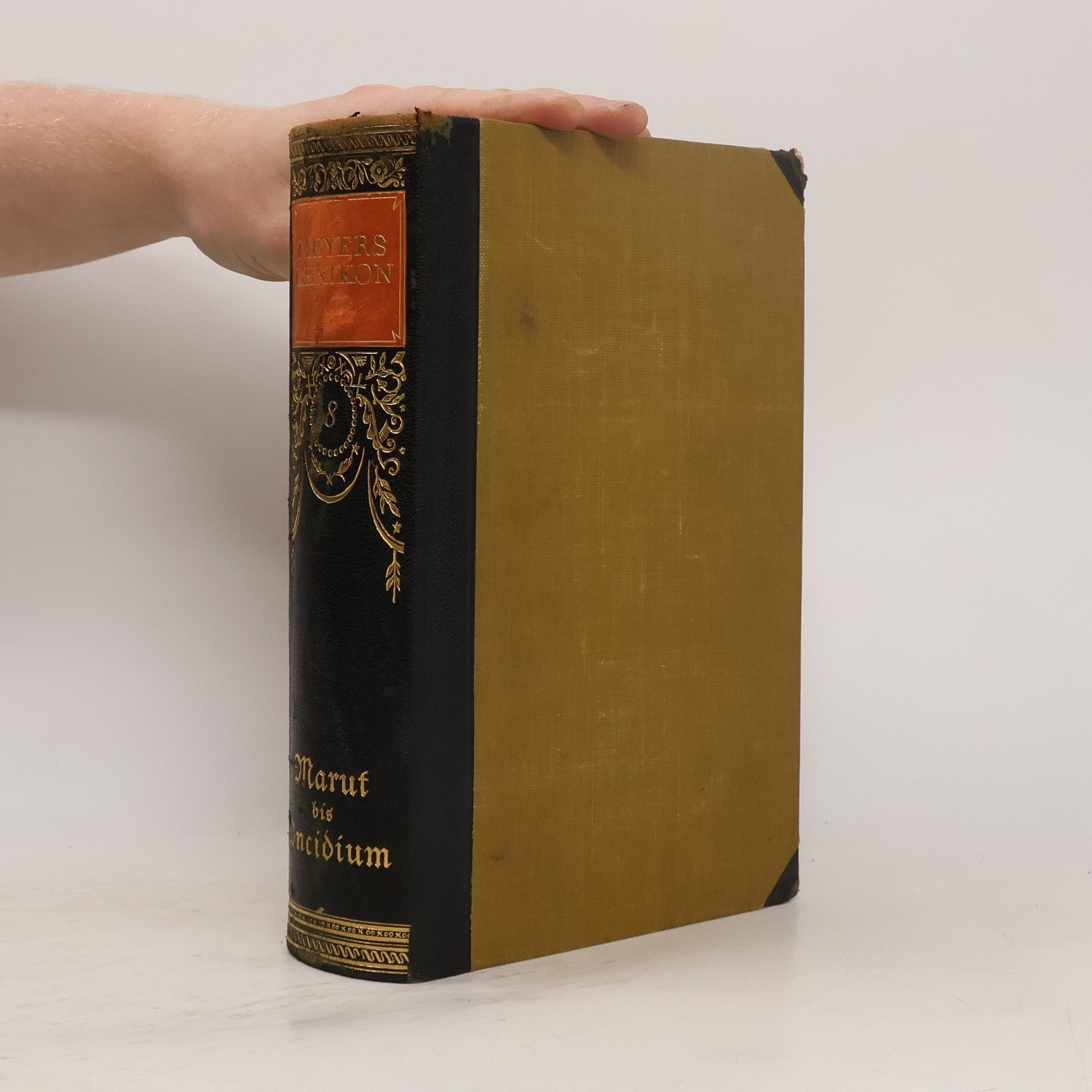 Kolektív autorov Meyers Lexikon 8