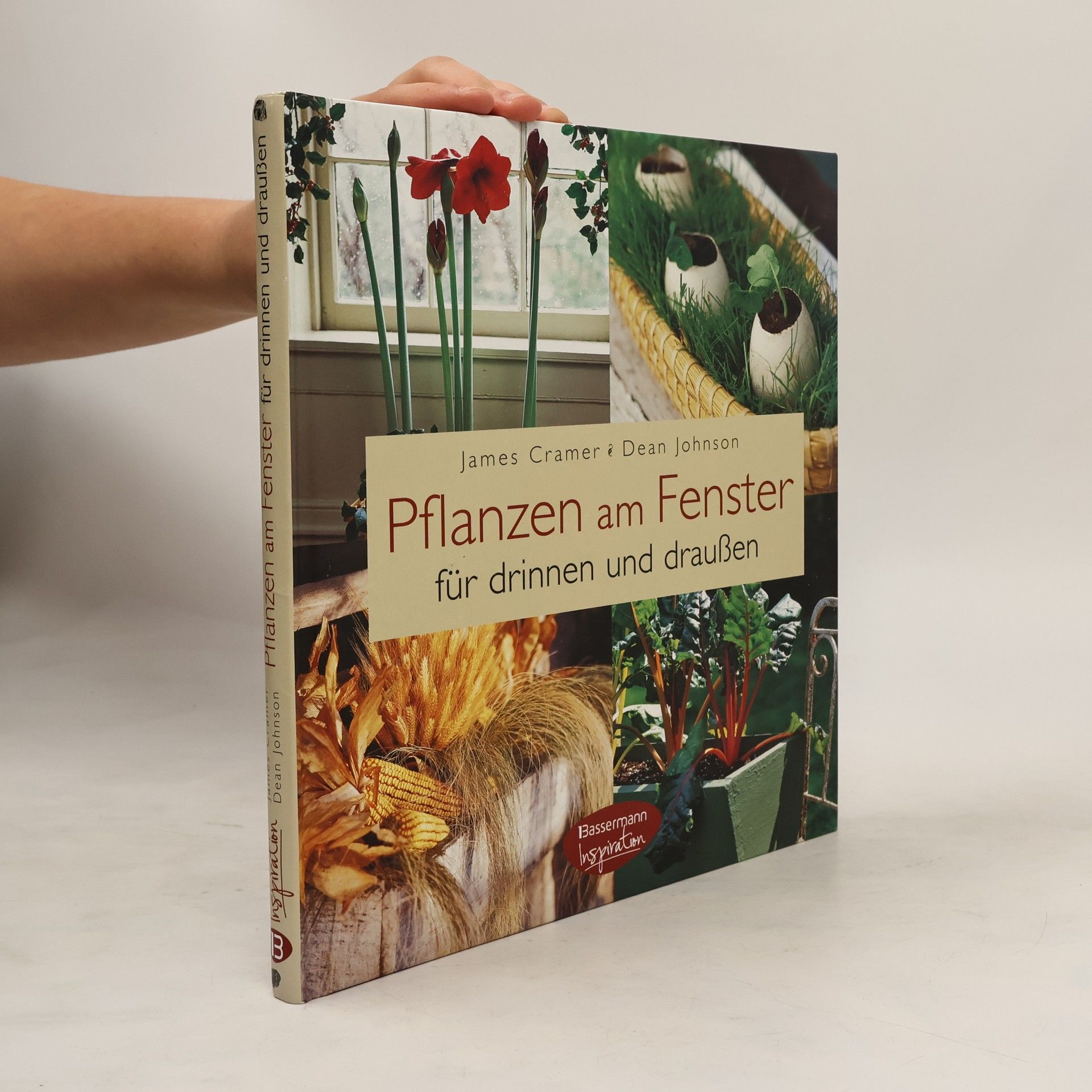 Pflanzen am Fenster für drinnen und draußen