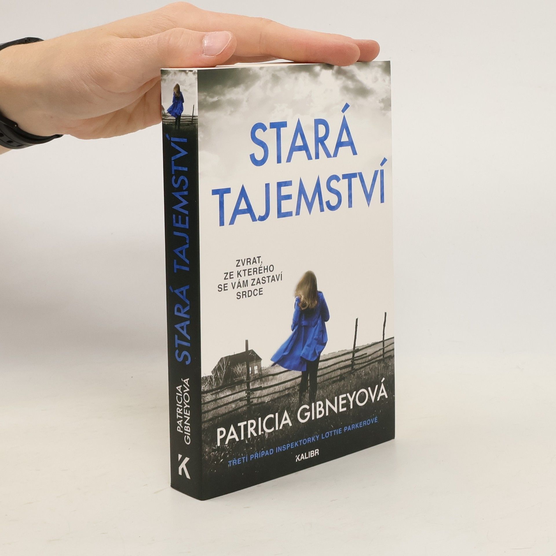 Patricia Gibney Stará tajemství