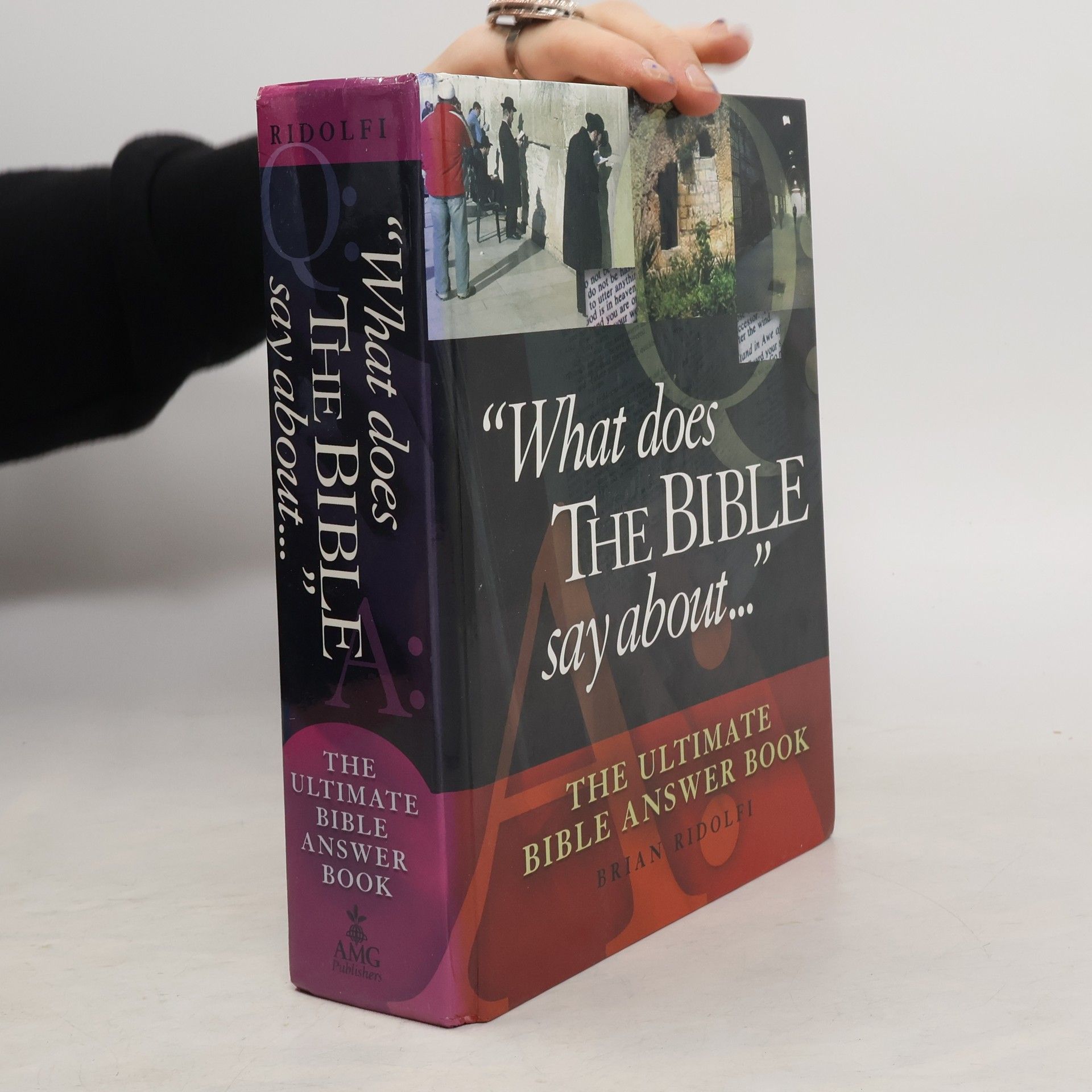 Brian Ridolfi What Does the Bible Say About . . .