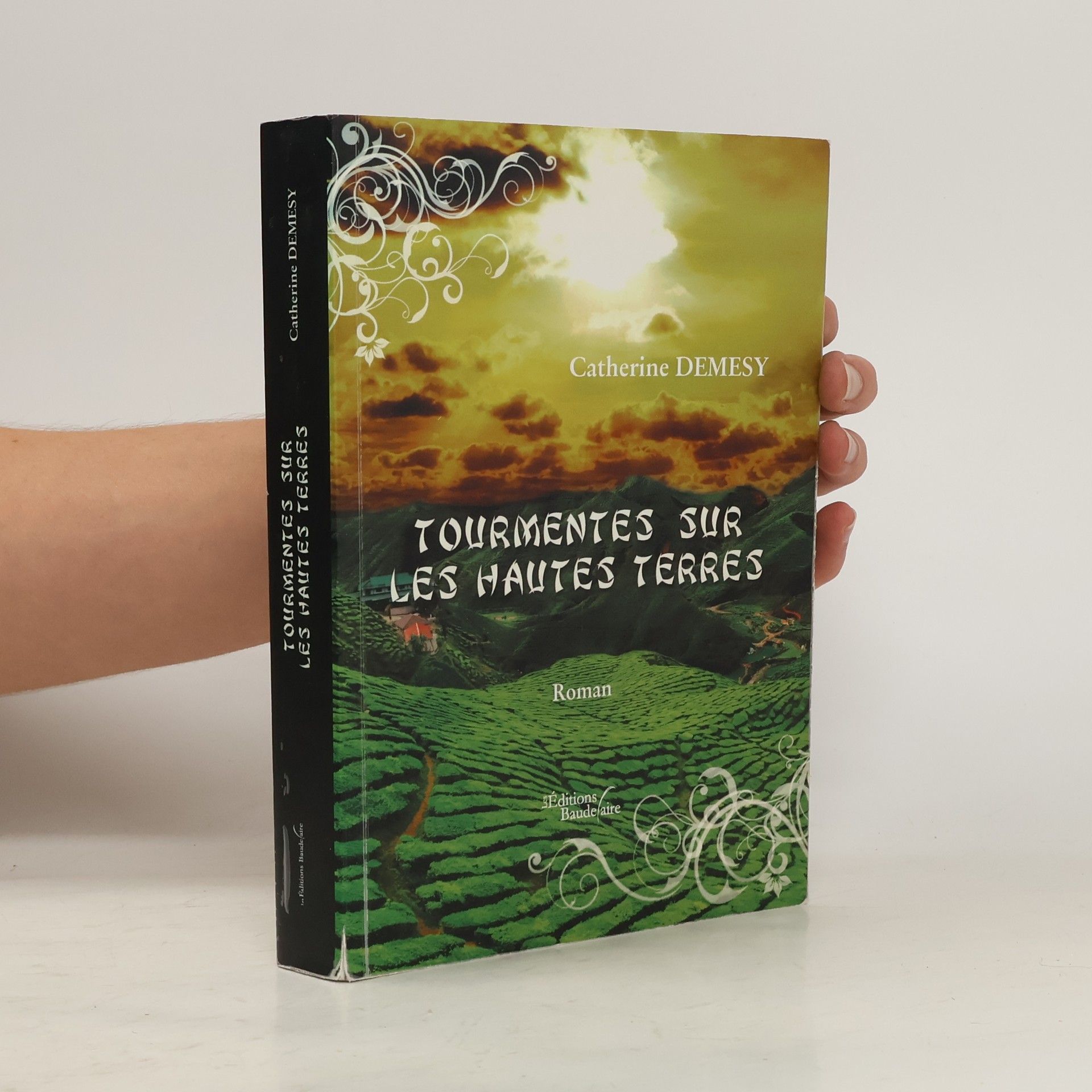 Tourmentes sur les Hautes Terres