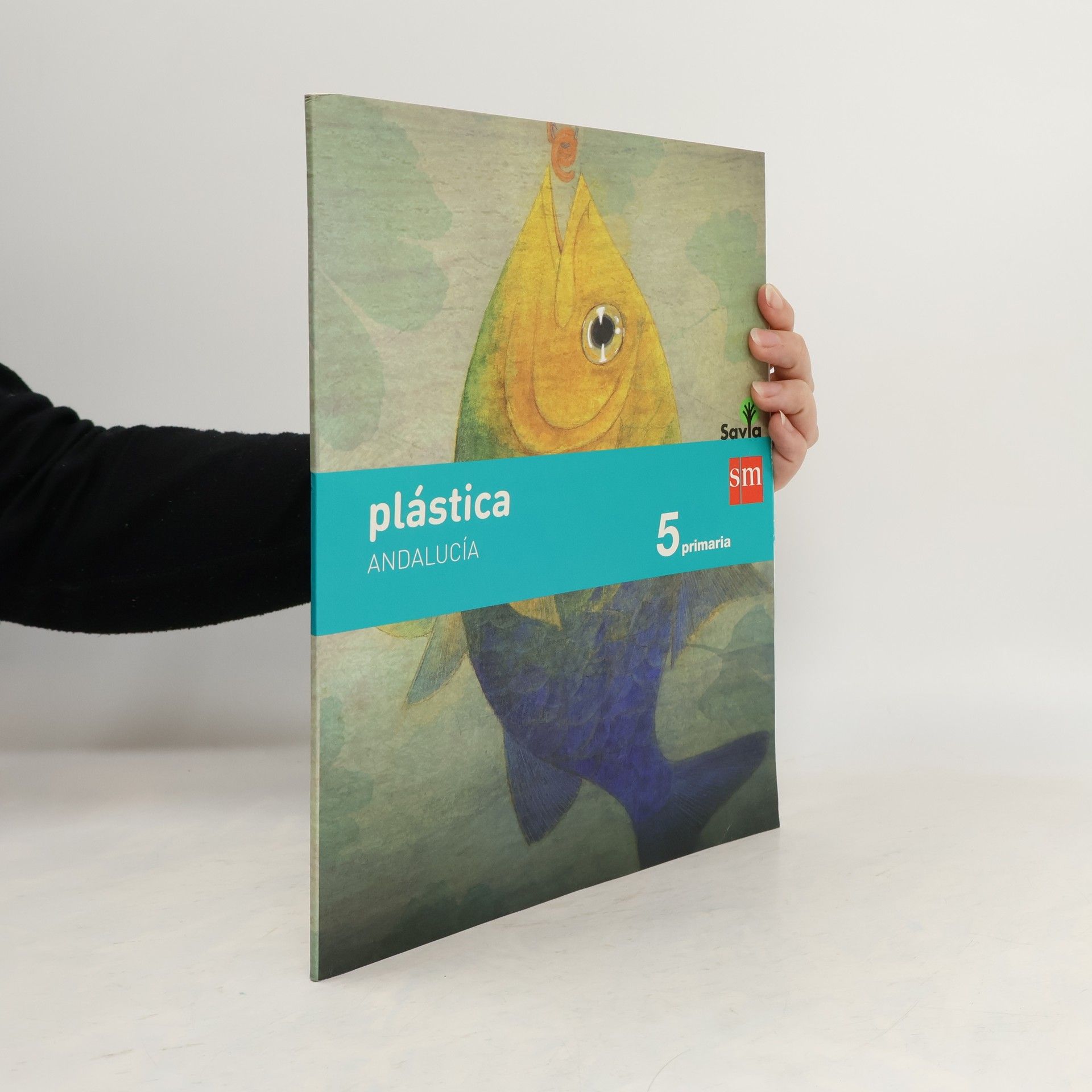 Auteurscollectief Plástica 5. Primaria. Andalucía