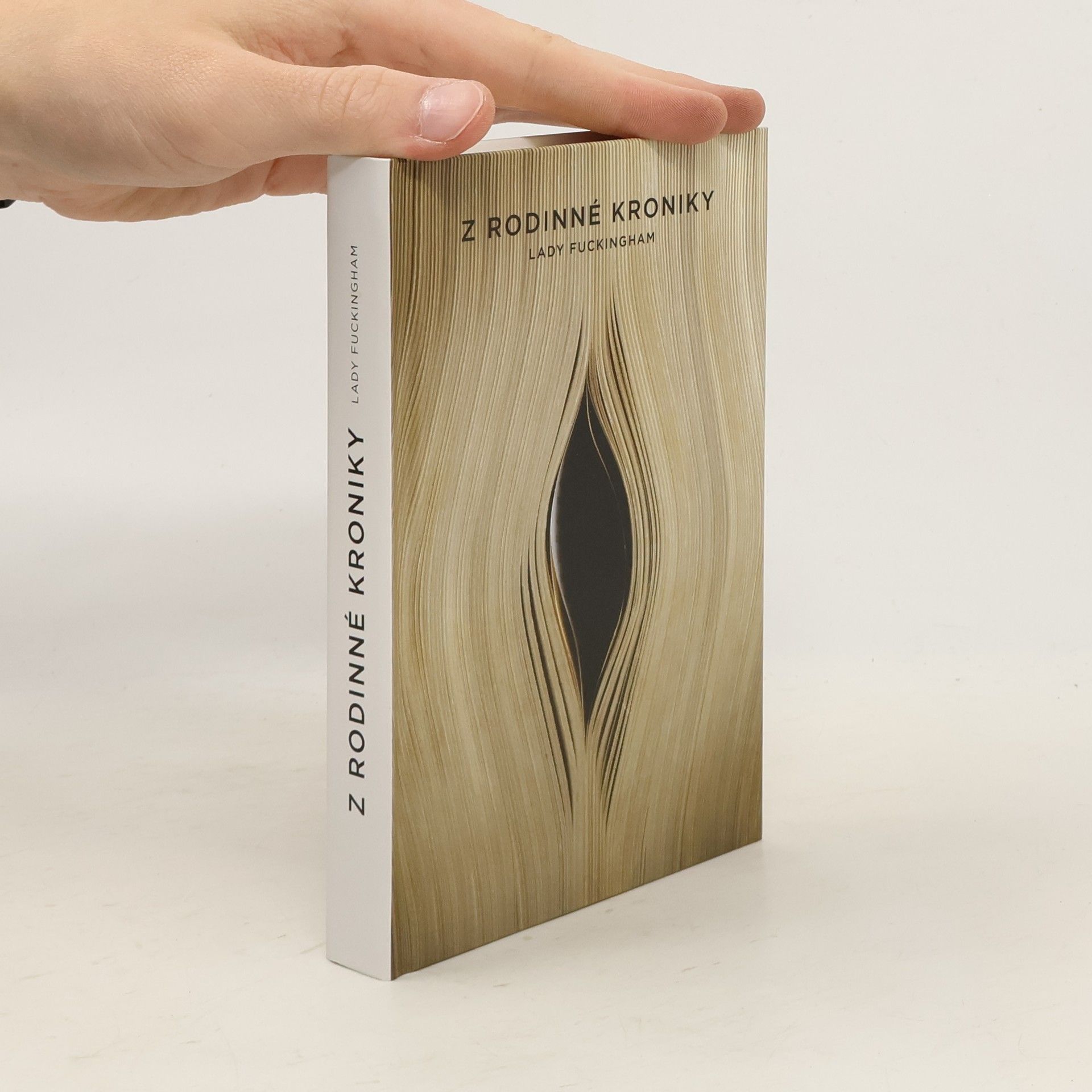 Kolektív autorov Z rodinné kroniky Lady Fuckingham